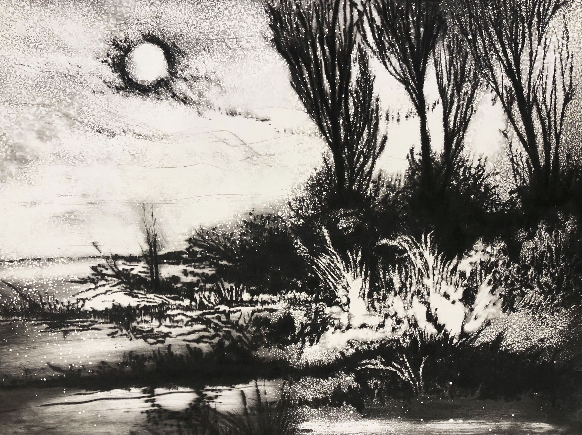 Edward Twohig, Super Moon 14.i, 2020