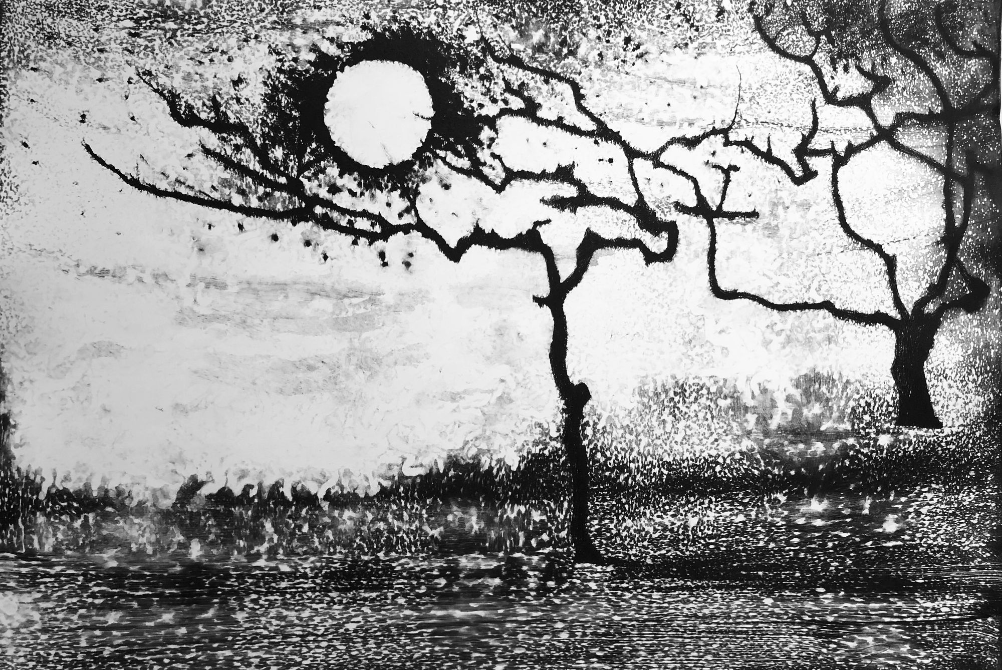 Edward Twohig, Super Moon 30.i, 2020