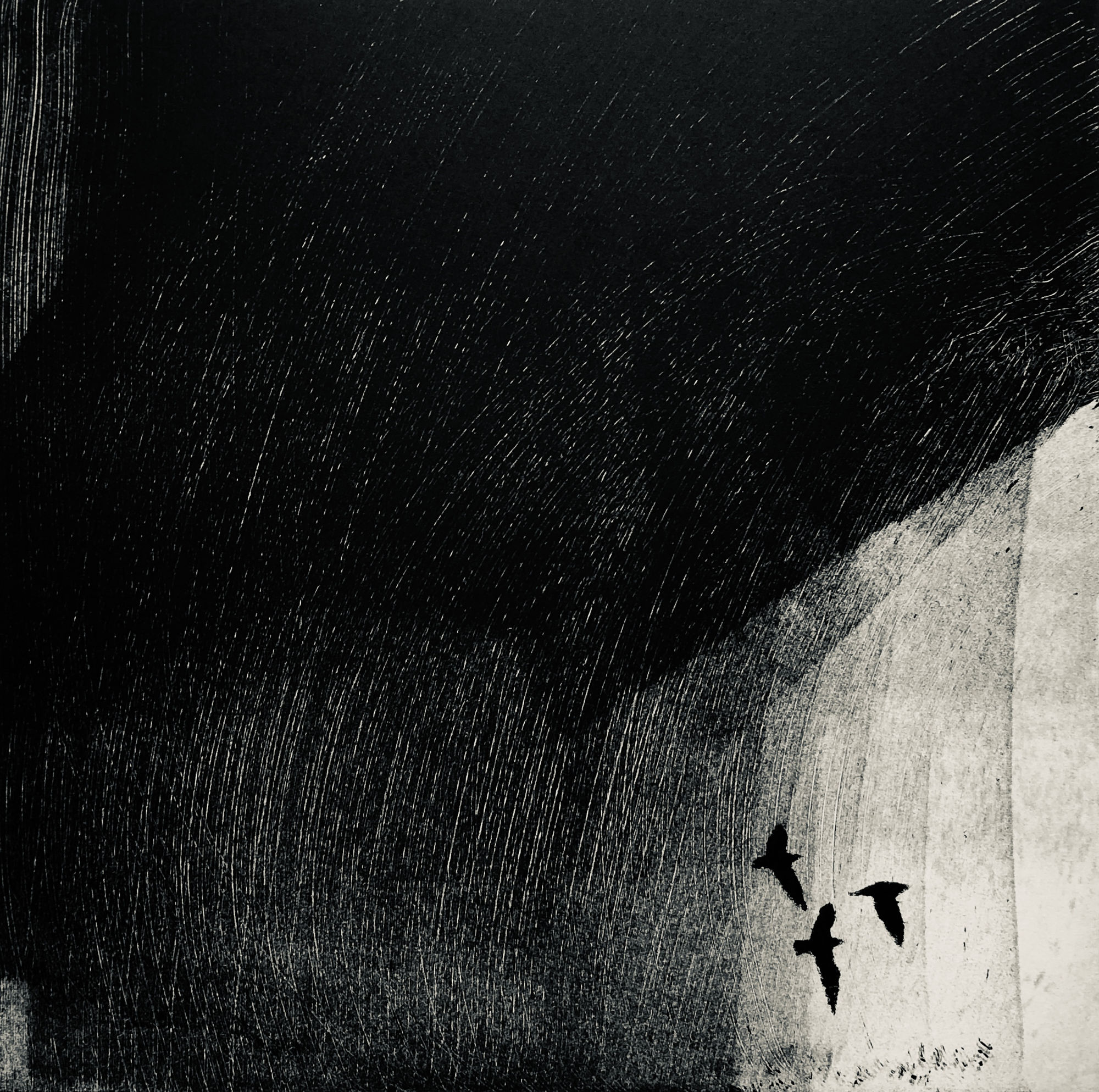 Nigel Swift, Birds, 2021