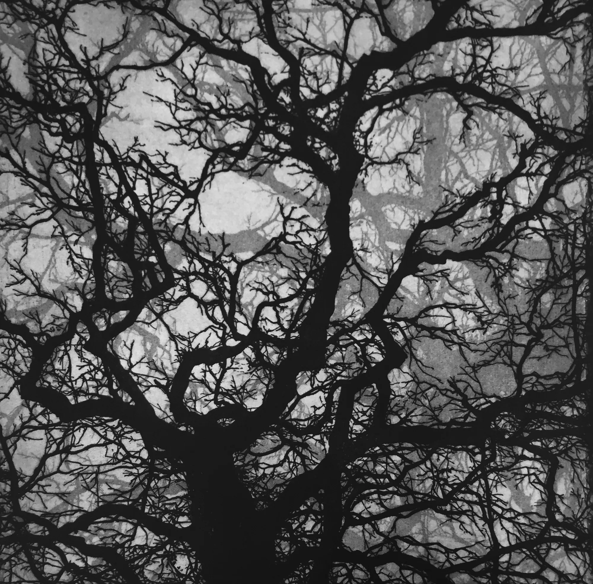 Summer Secret Bid Auction 2022, Cyan - West Wood, 2017