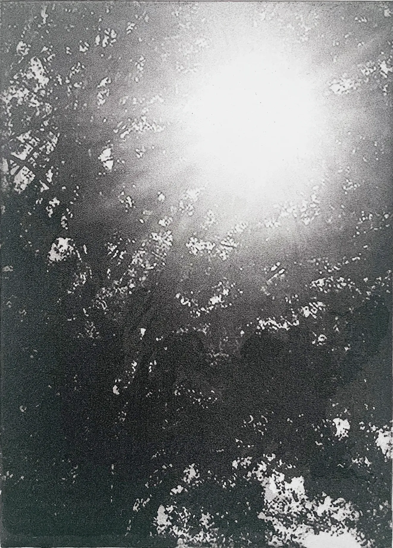 Summer Secret Bid Auction 2022, Bainbridge - Summer Days Past, 2022