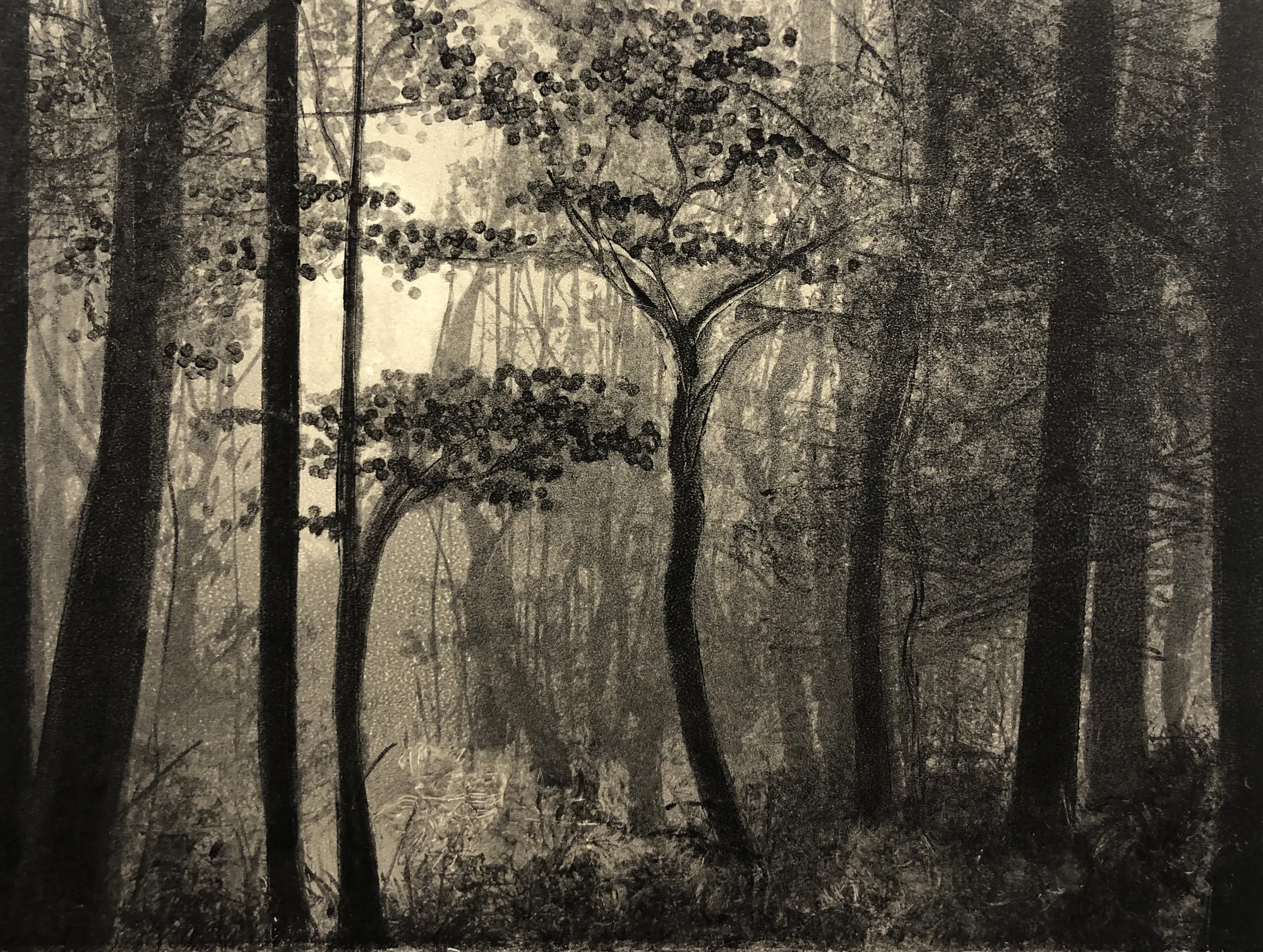 Christmas Secret Bid Auction 2025, LOT 89: Fiona Fouhy - Leave Behind III, 2020