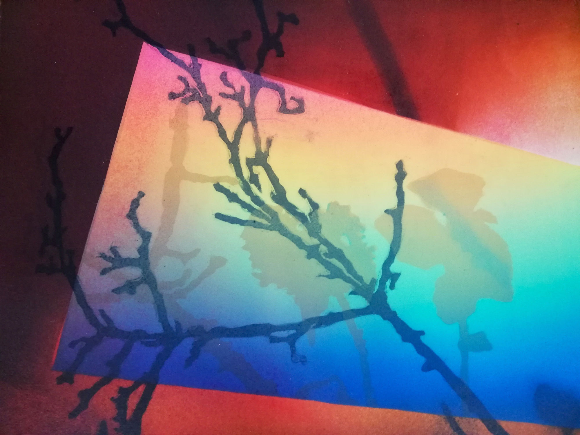 Sophie Layton, Still Life - Detail II