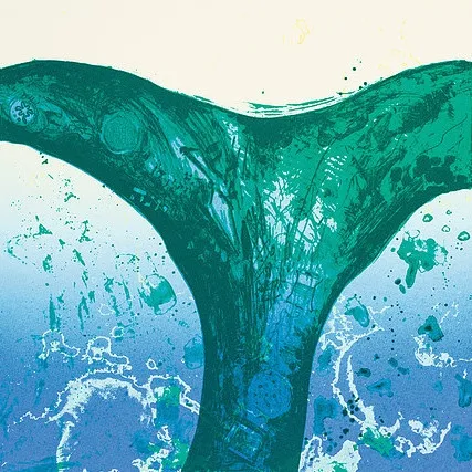 Ardyn Halter, Fluke, 2001-02