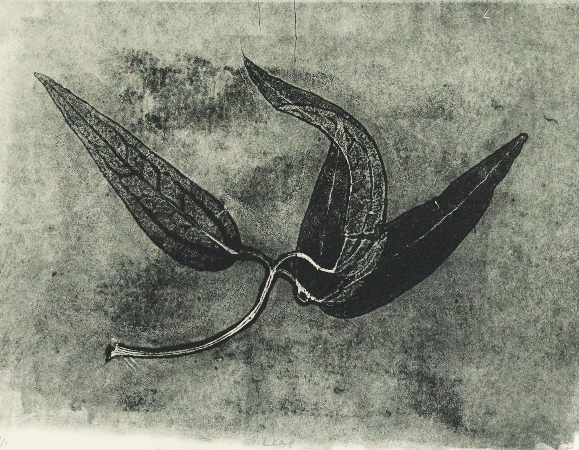 Summer Secret Bid Auction 2025, LOT 90: Fiona Fouhy - Leap, 2024