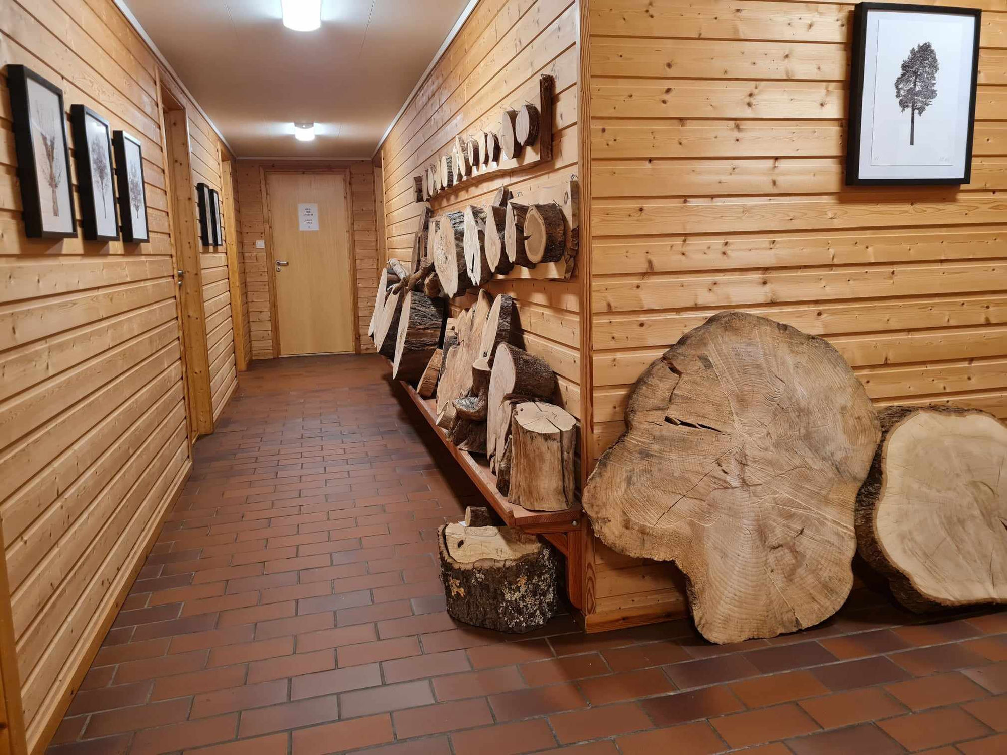 A path is a thought stretched out in time and space