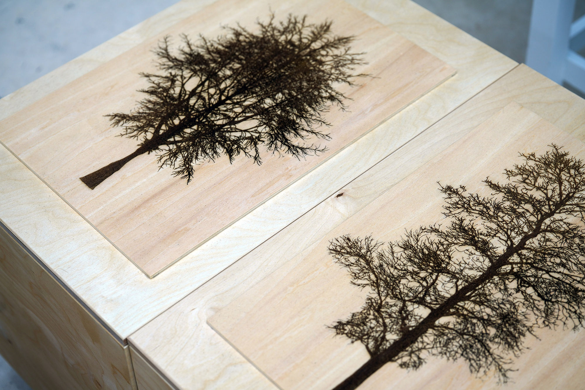 School of Generational Storytelling