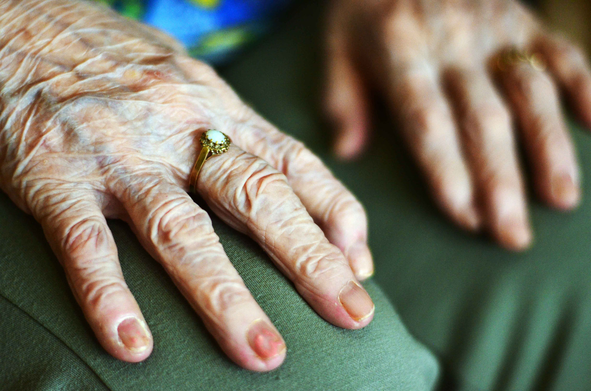 School of Generational Storytelling