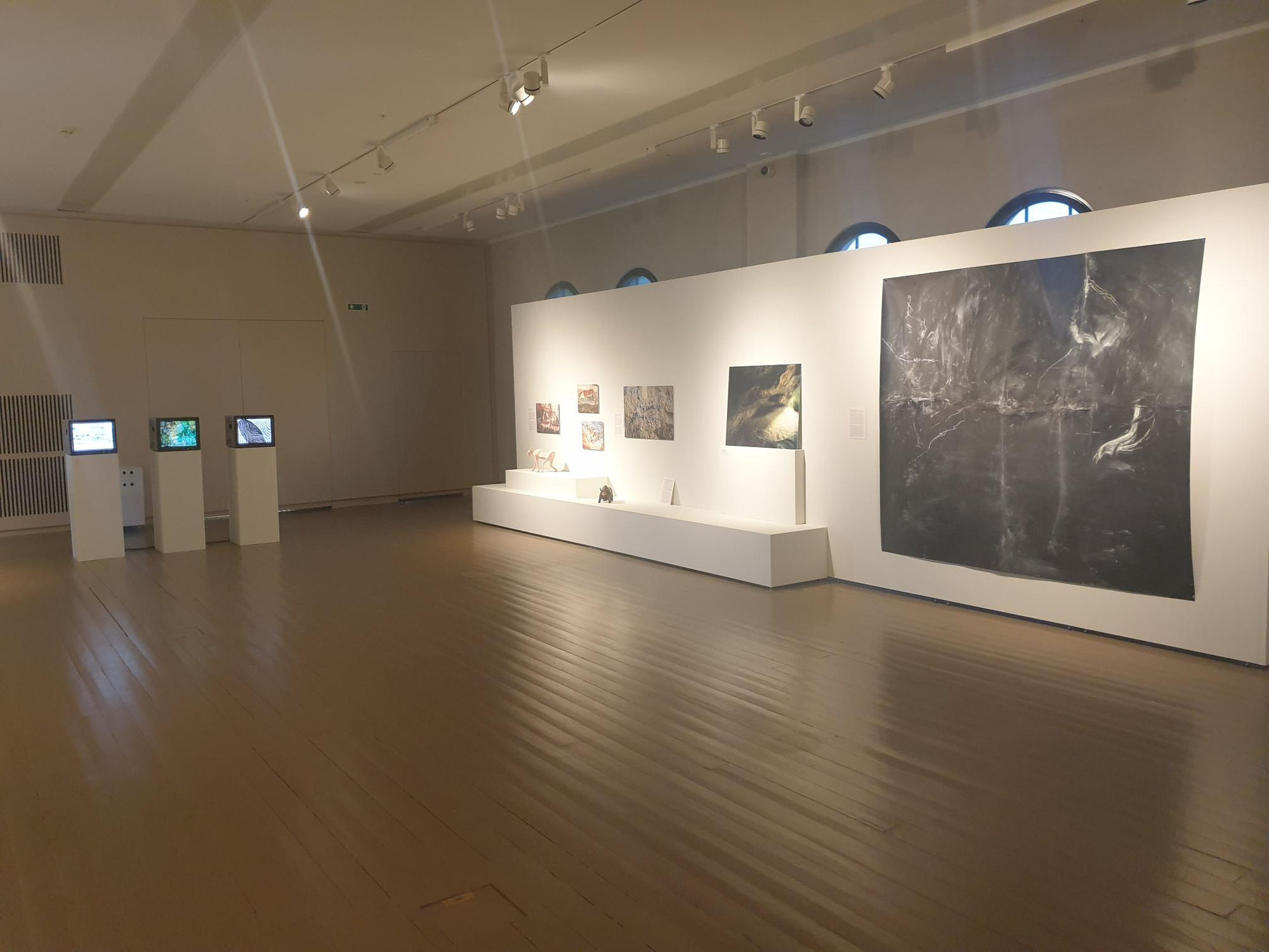 Dig it up and put it in a bag