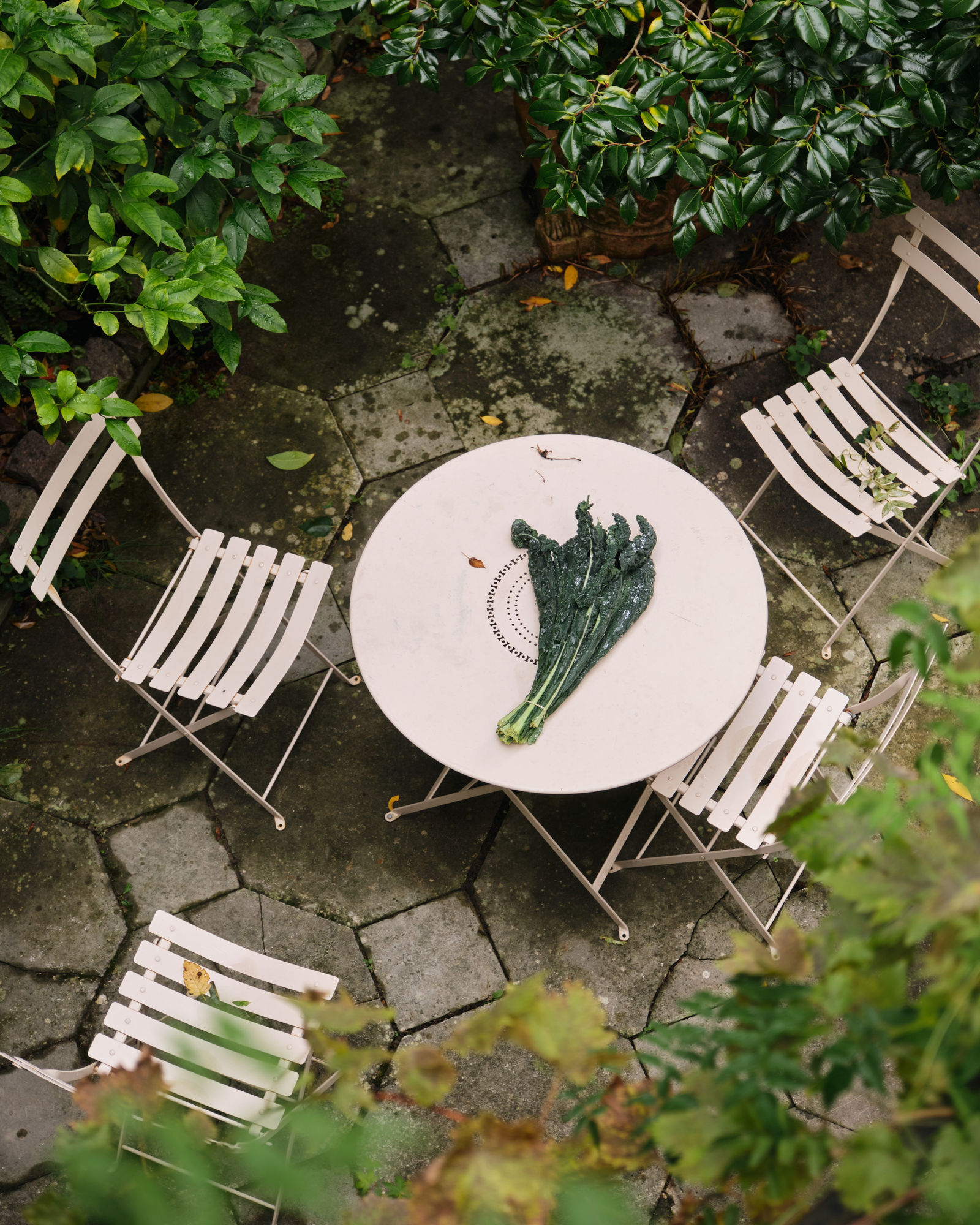 Cavelo Nero from Queens Park Farmers Market - after much research, they assure us this is the best in London