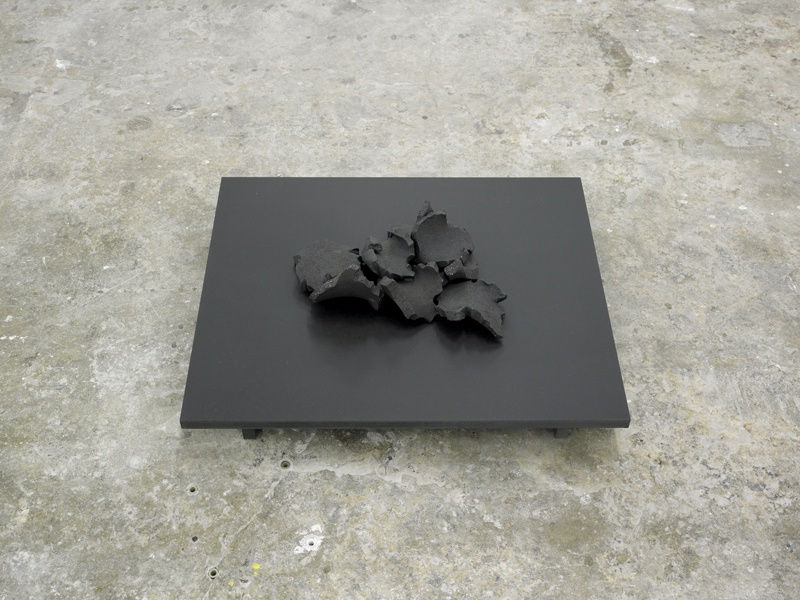 LiliDujourie-ErnaHeceyGallery-MemorieofHands-2017-ernah