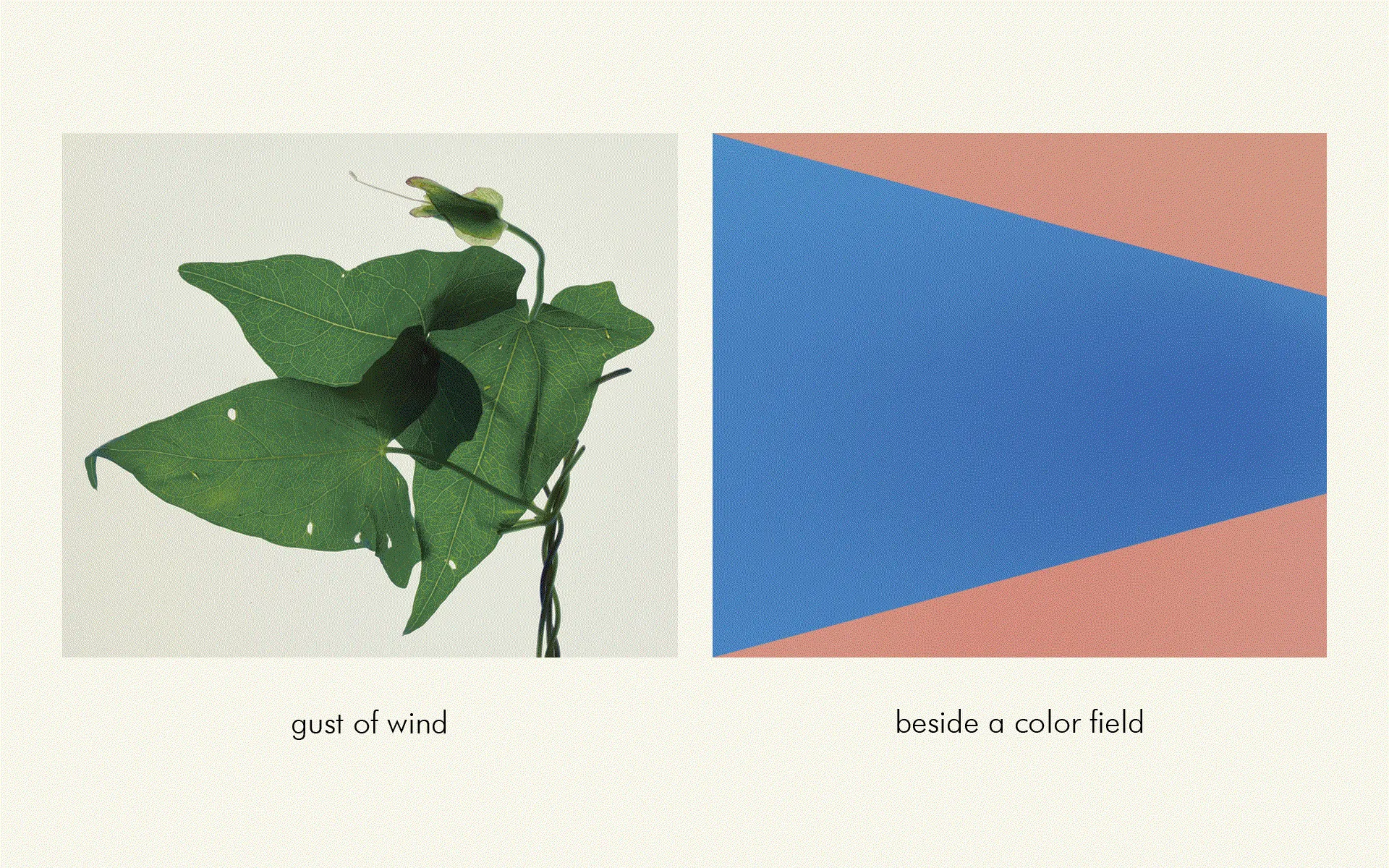 Suzanne-Lafont_Erna-Hecey_Strips_Viewing-Room_Sketches_exhibition_2020-2021