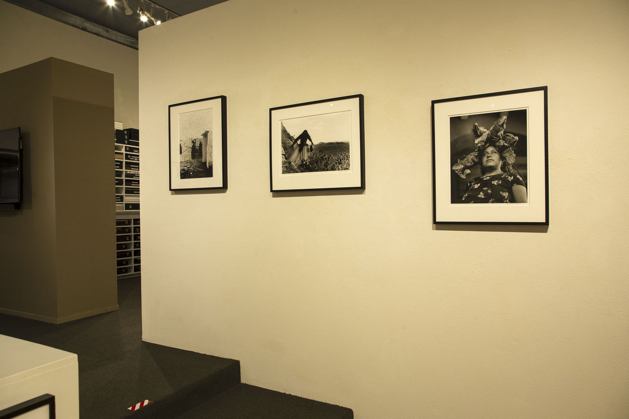 For the Record: Documentary Photographs from the Etherton Gallery Archive & Danny Lyon: Thirty Photographs, 1962 - 1980