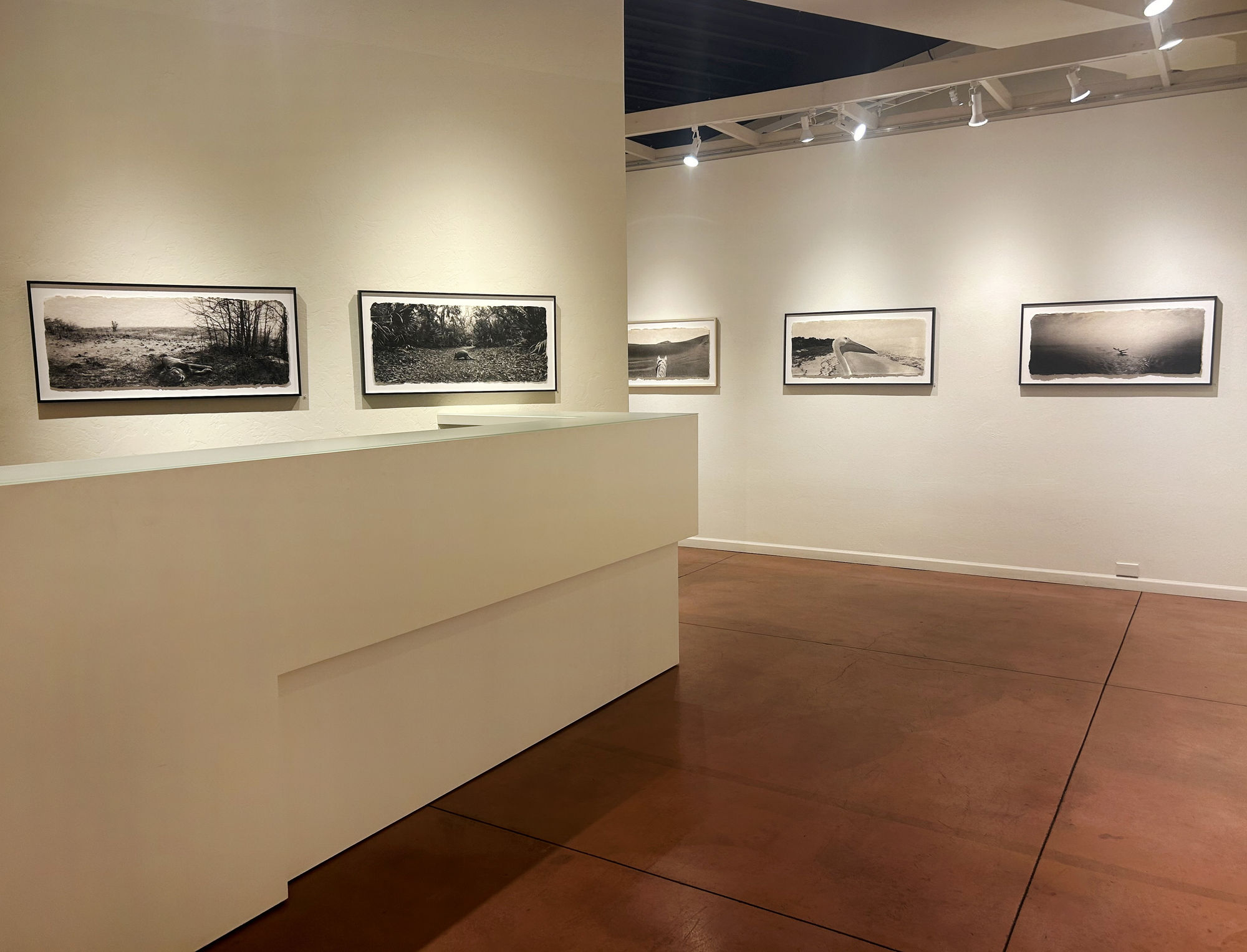 Zana Briski: ENCOUNTERS