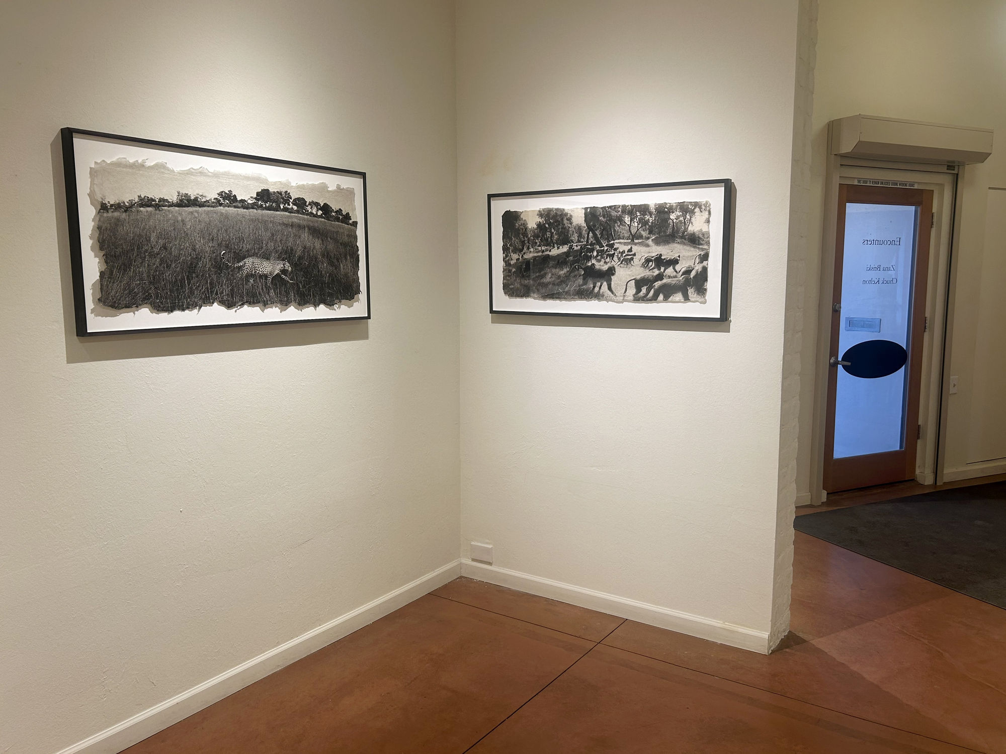 Zana Briski: ENCOUNTERS