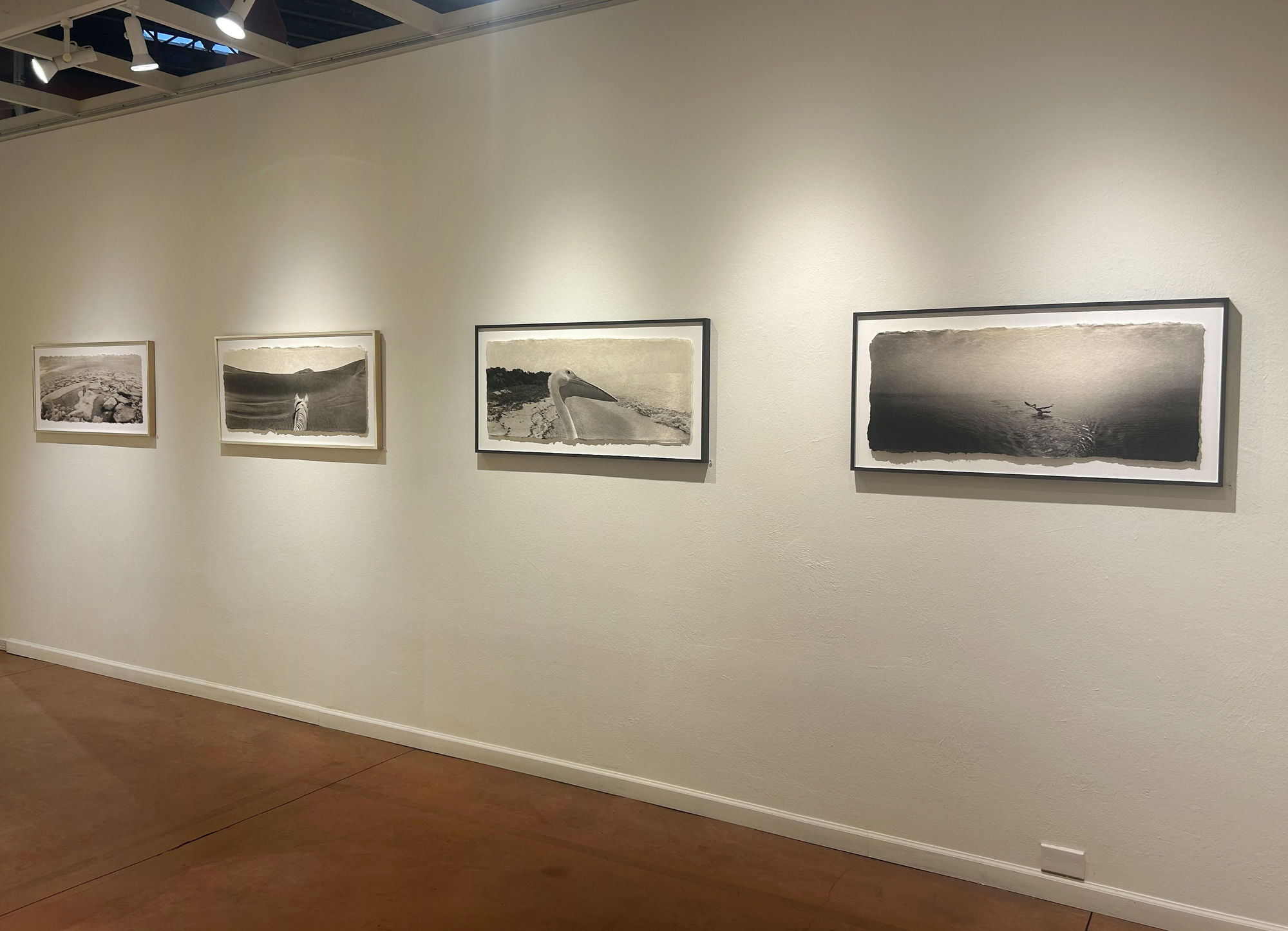 Zana Briski: ENCOUNTERS