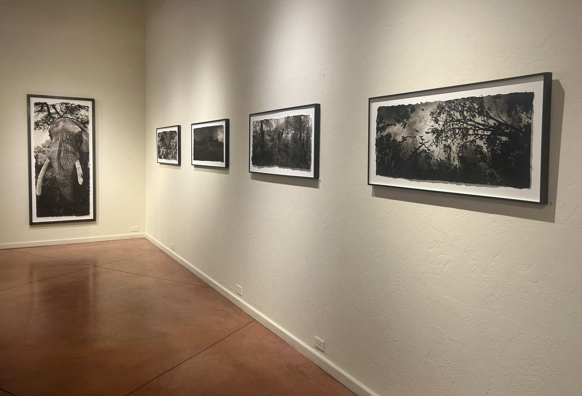 Zana Briski: ENCOUNTERS