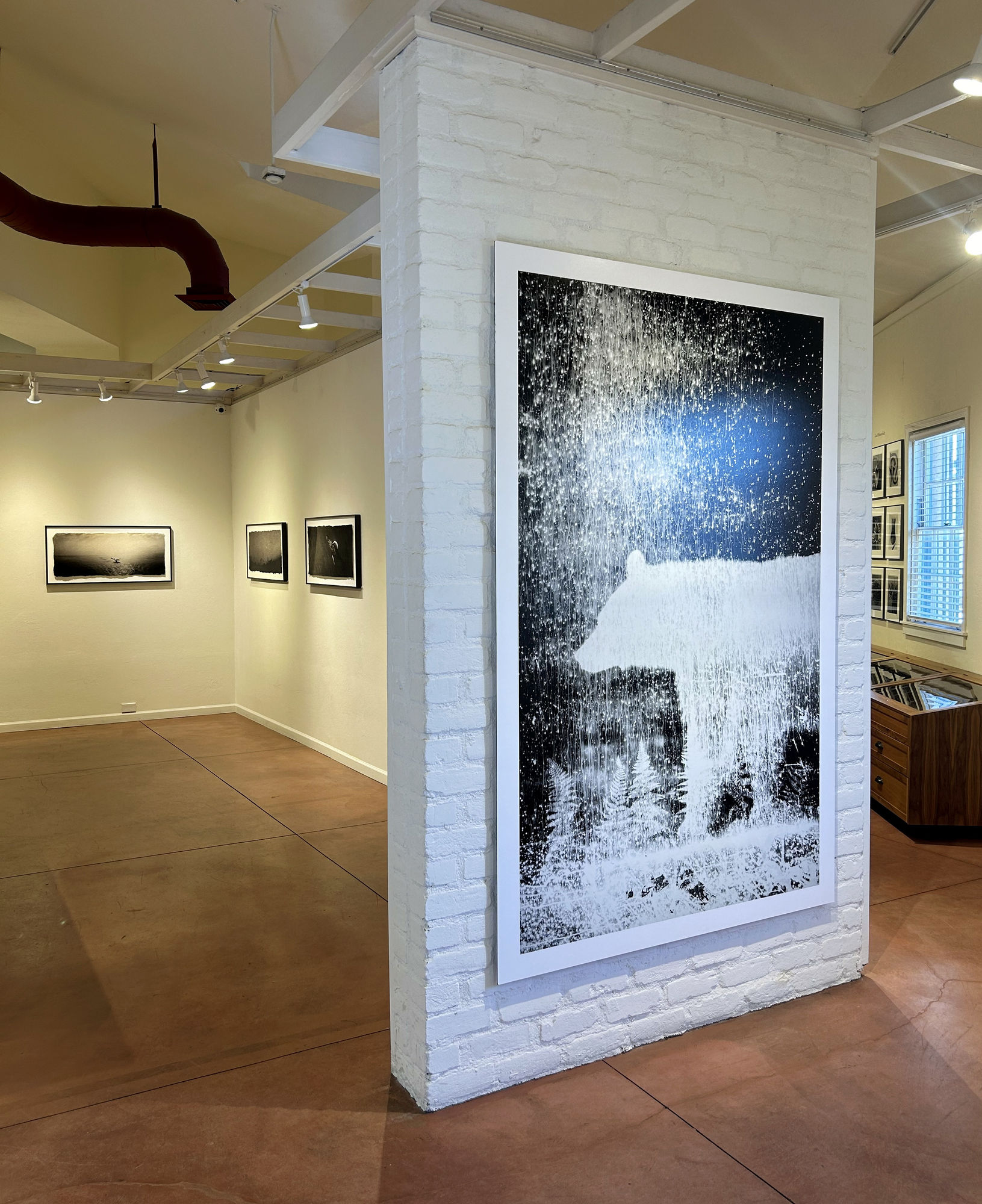 Zana Briski: ENCOUNTERS