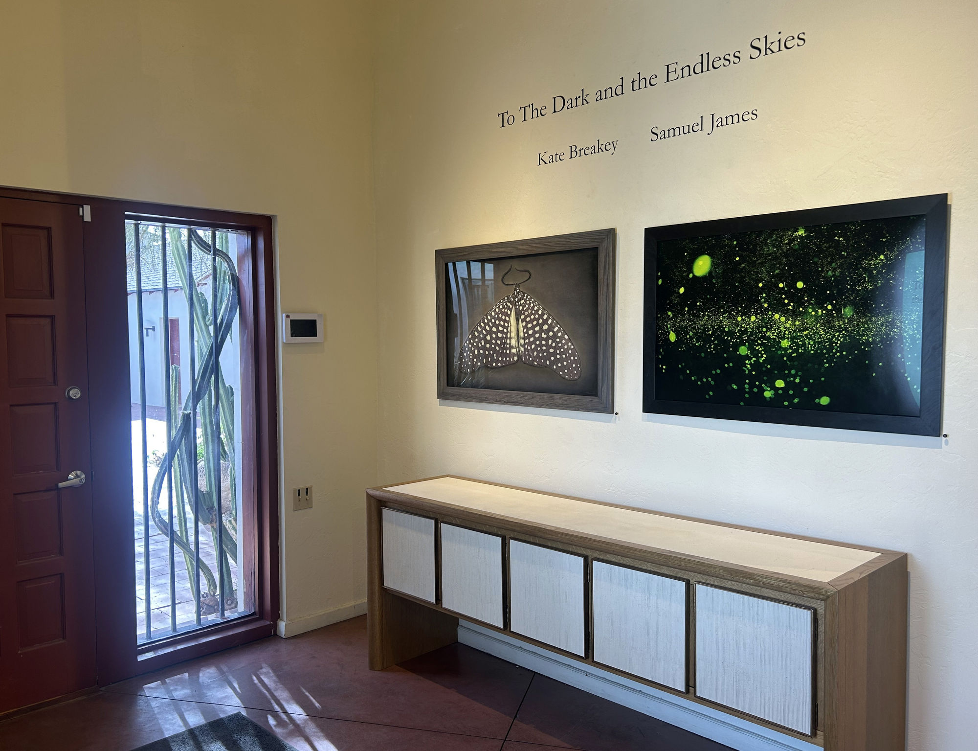 Kate Breakey and Samuel James: To the Dark and the Endless Skies