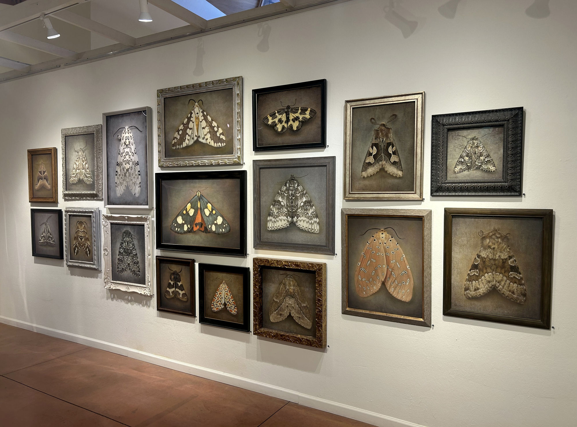 Kate Breakey and Samuel James: To the Dark and the Endless Skies