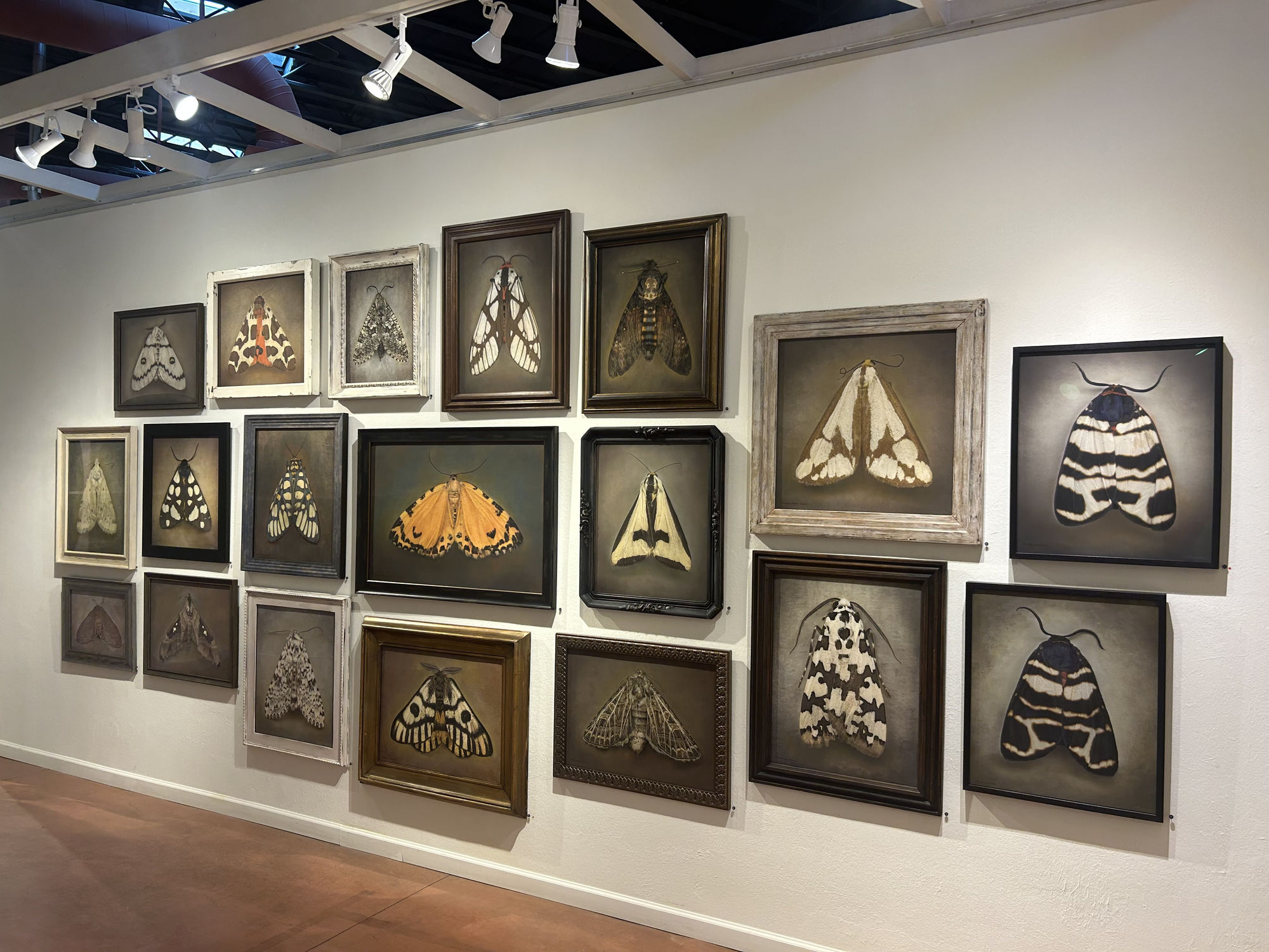 Kate Breakey and Samuel James: To the Dark and the Endless Skies