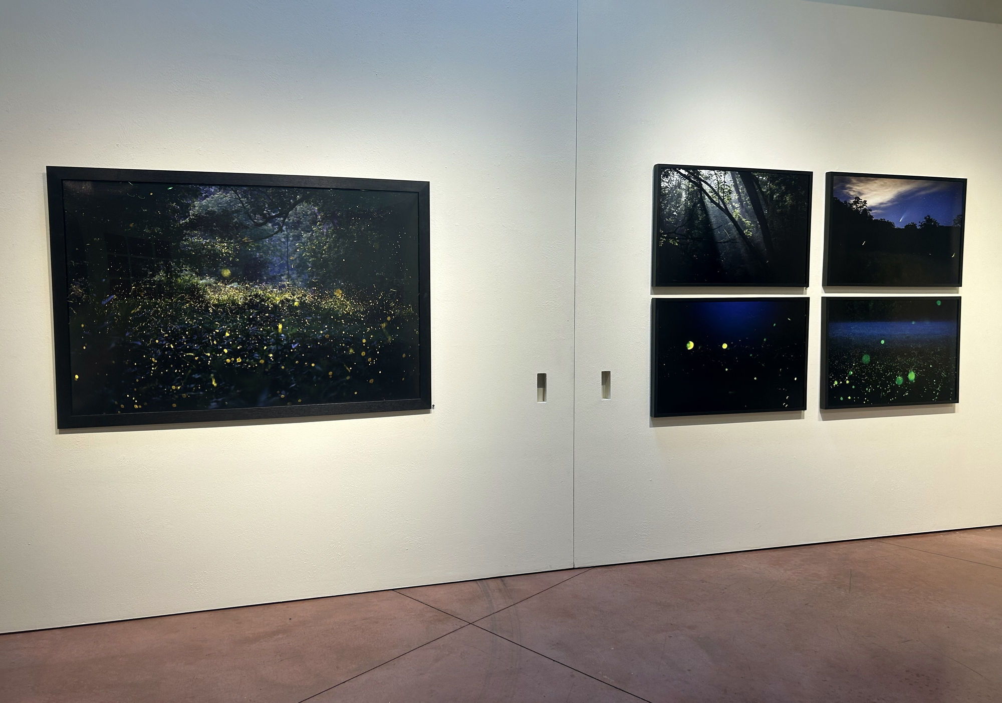 Kate Breakey and Samuel James: To the Dark and the Endless Skies