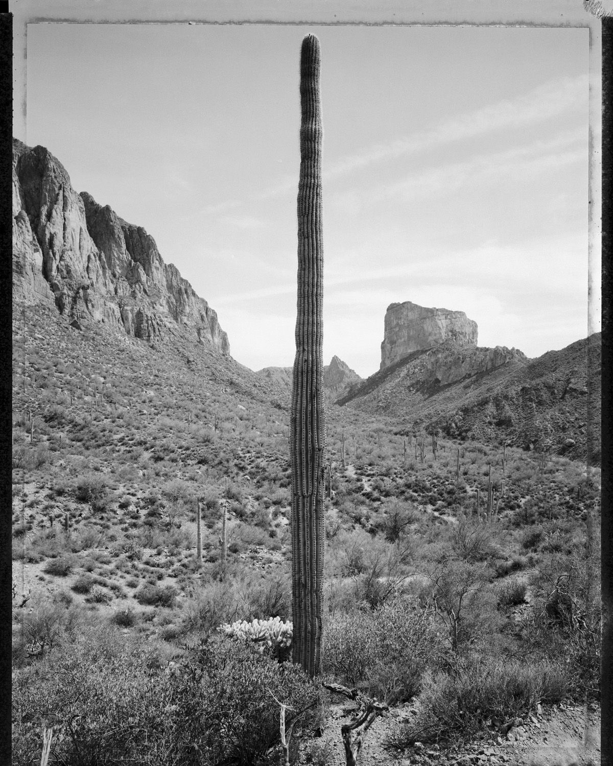 Mark Klett (1952-) "Desert Citizen," 1990 gelatin silver print