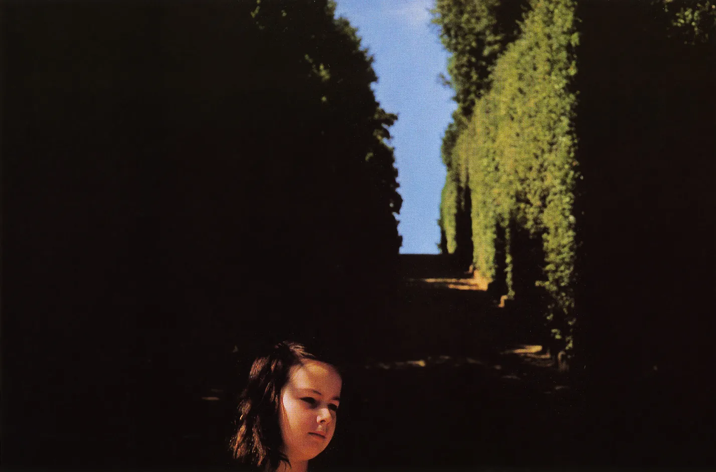 Harry Callahan (1912-1999) "Florence," 1957 dye transfer print 8 1/2 x 13 inches