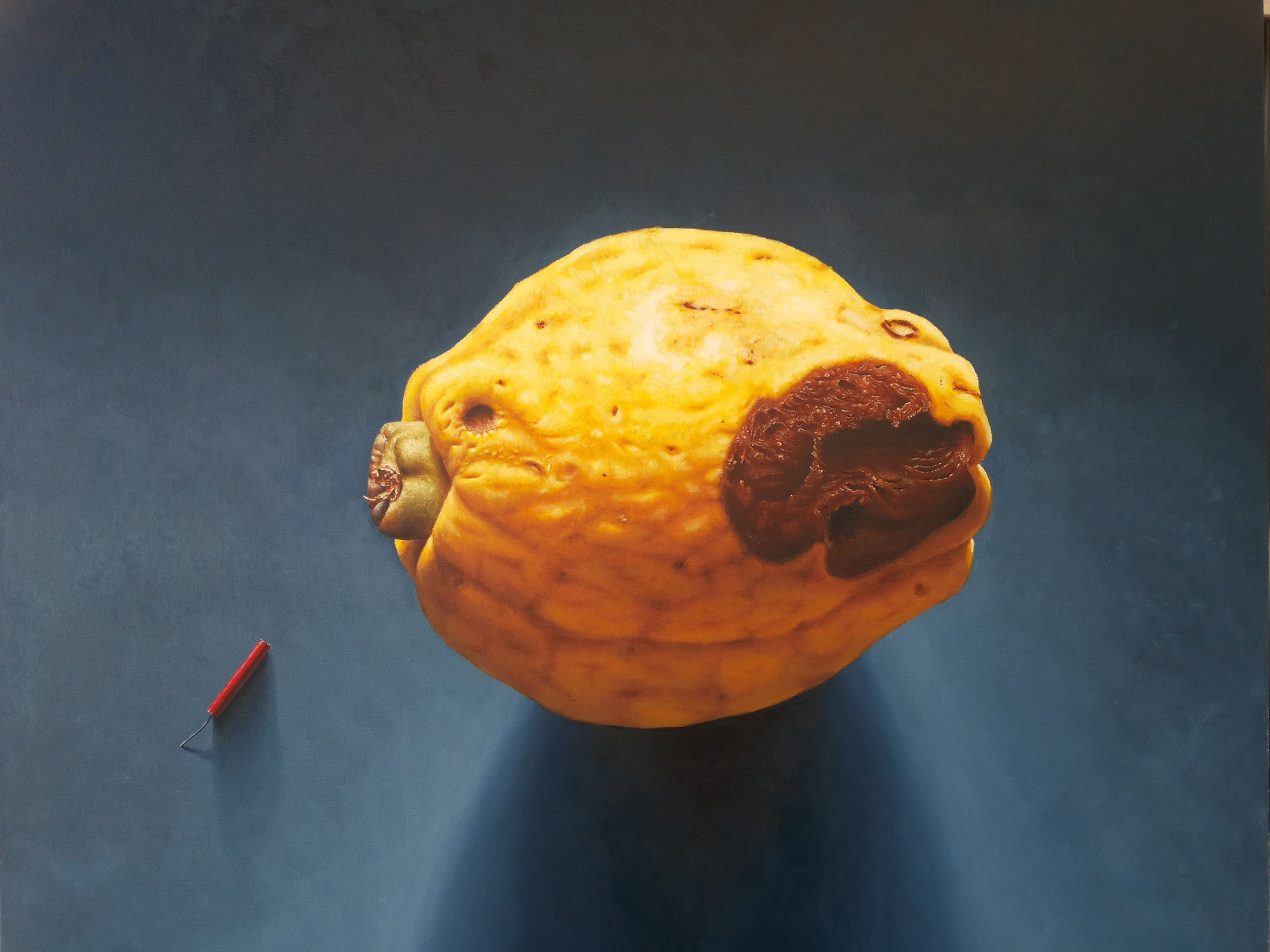 Othman Moussa Quince, 2017 Oil on canvas 100 x 100 cm 39 1/4 x 39 1/4 in