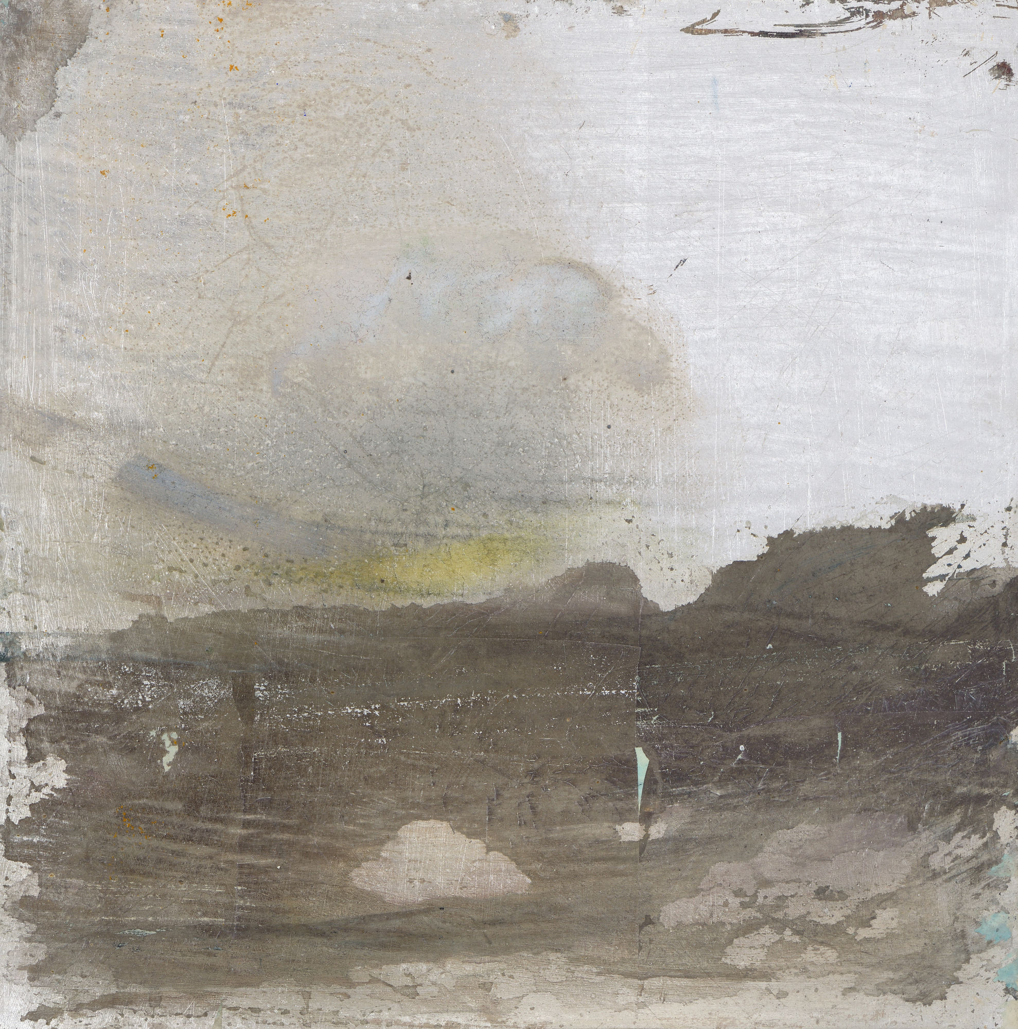 Natural Harmonies by Alice Cescatti