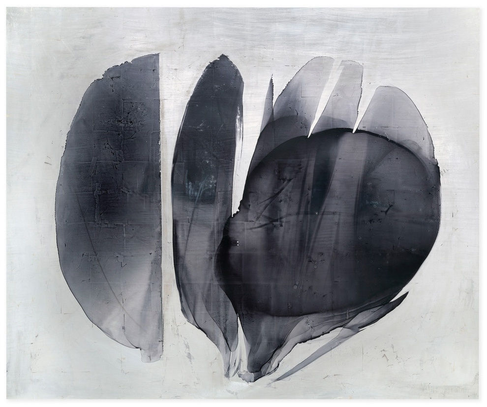 Natural Harmonies by Alice Cescatti