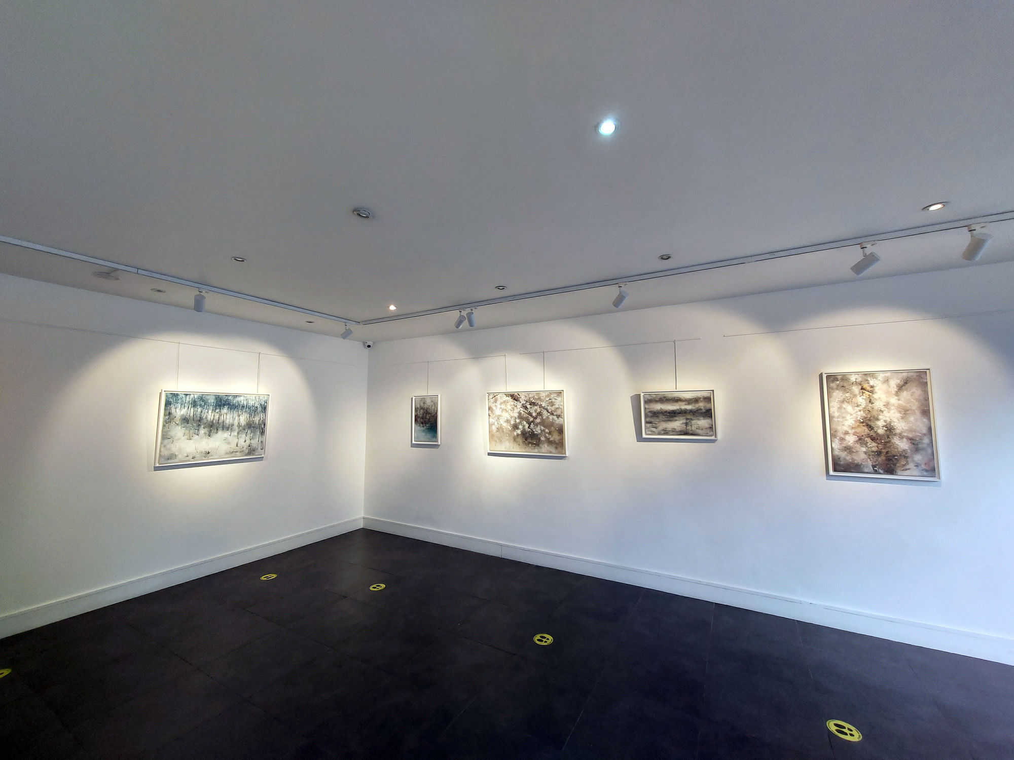 The Beauty of Nature's Life