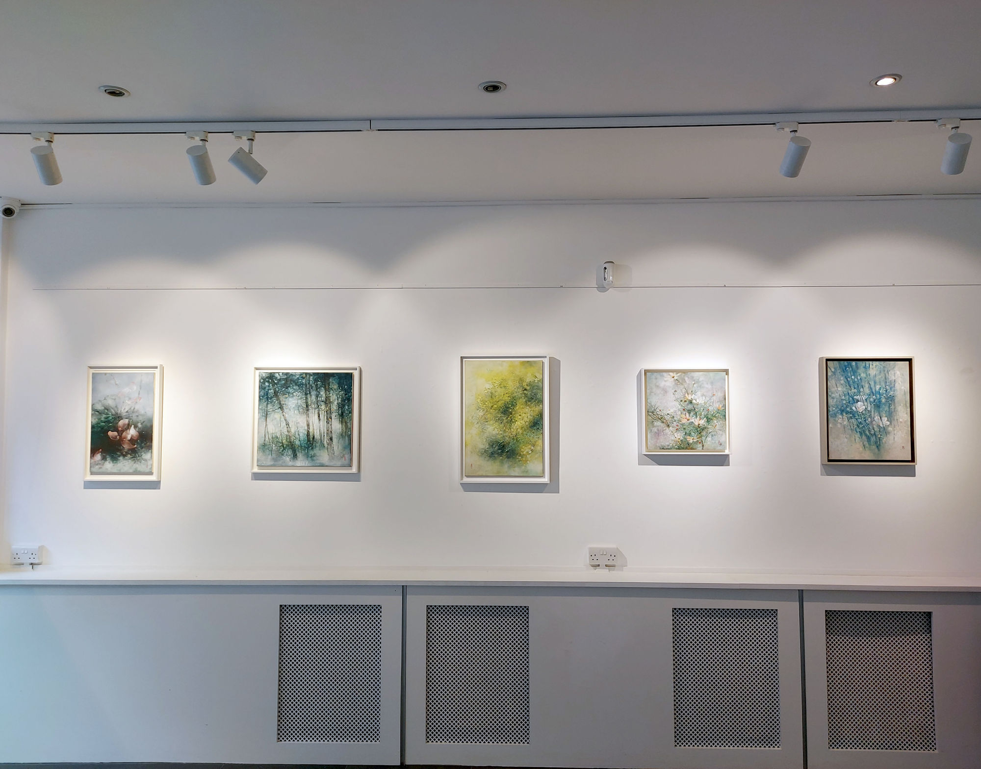 The Beauty of Nature's Life