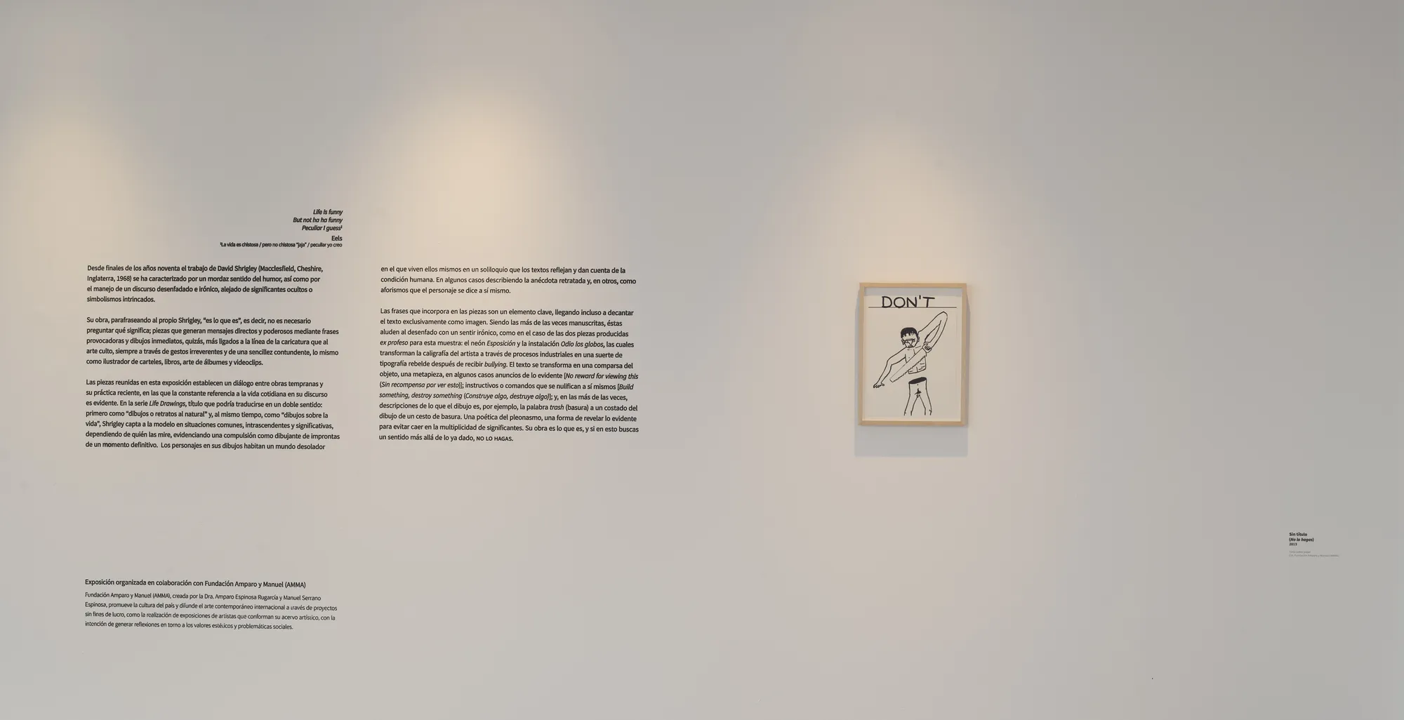 David Shrigley: DON’T (No lo hagas) (2019)