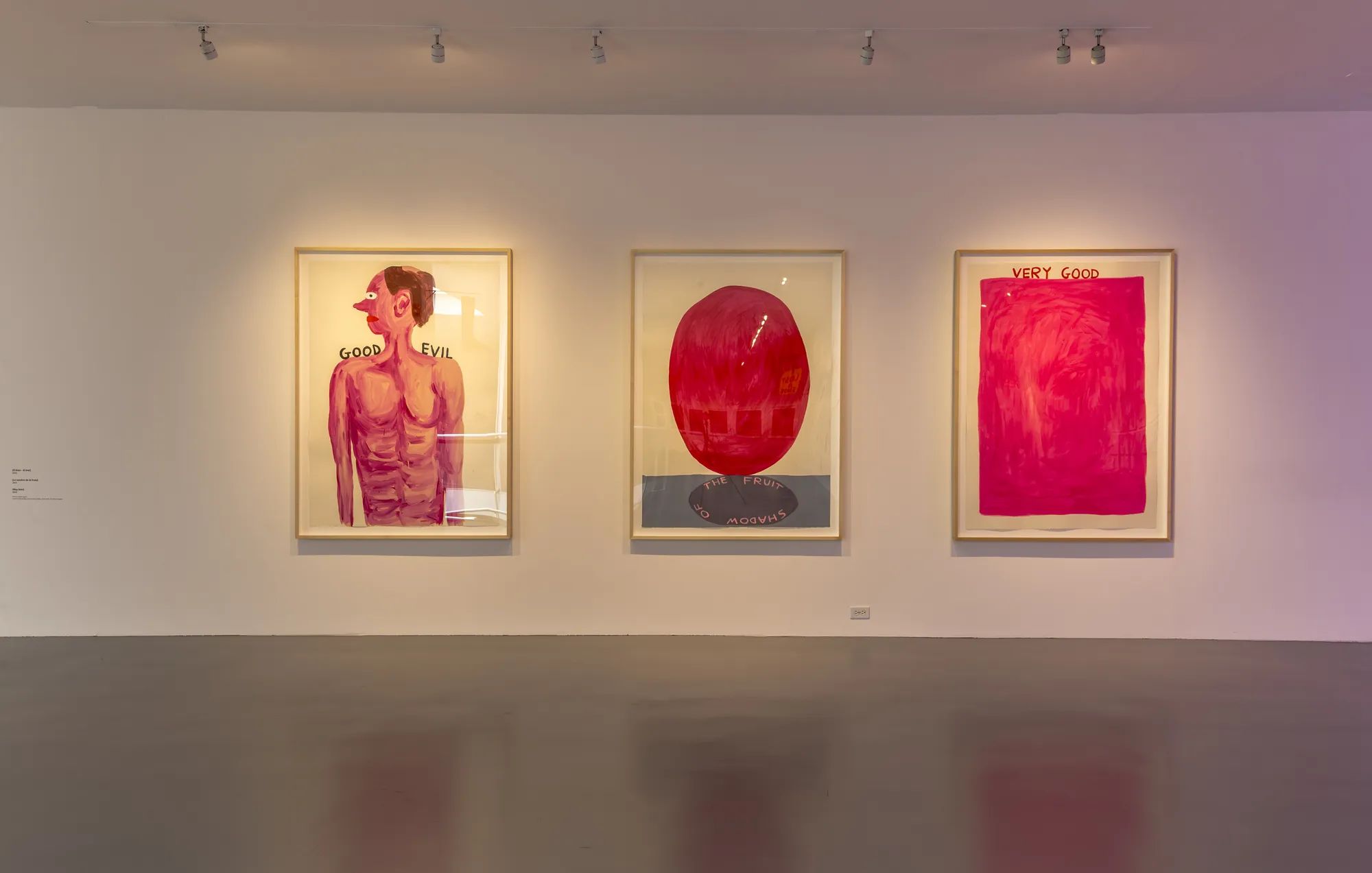 David Shrigley: DON’T (No lo hagas) (2019)