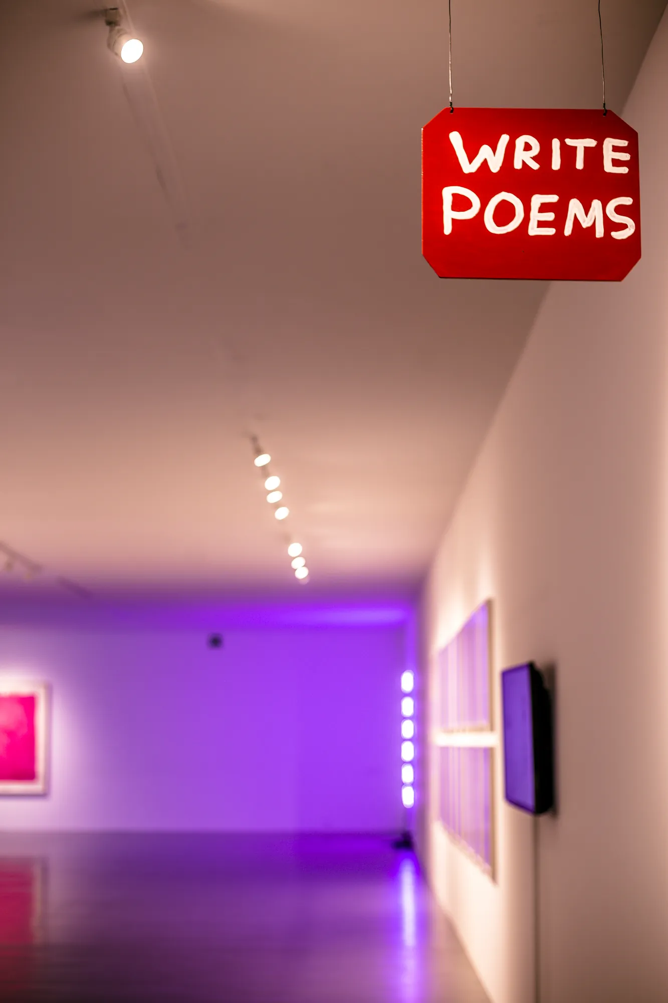 David Shrigley: DON’T (No lo hagas) (2019)