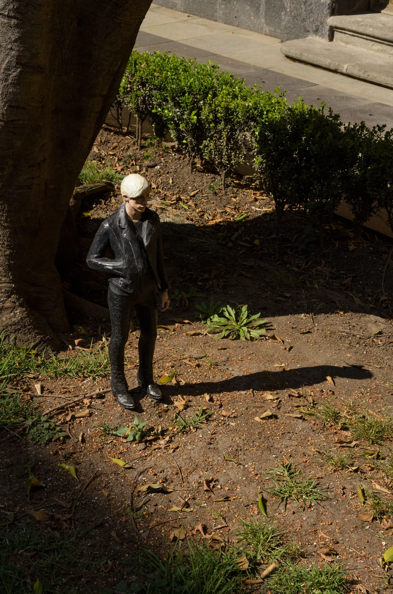 Tomoaki Suzuki, SHCP (2016)