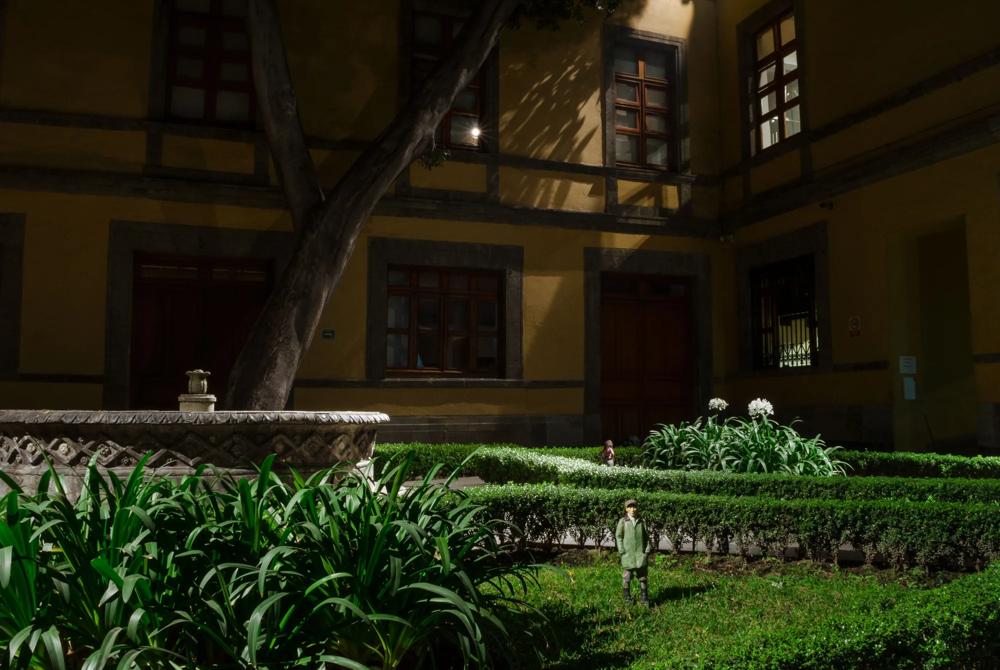 Tomoaki Suzuki, SHCP (2016)