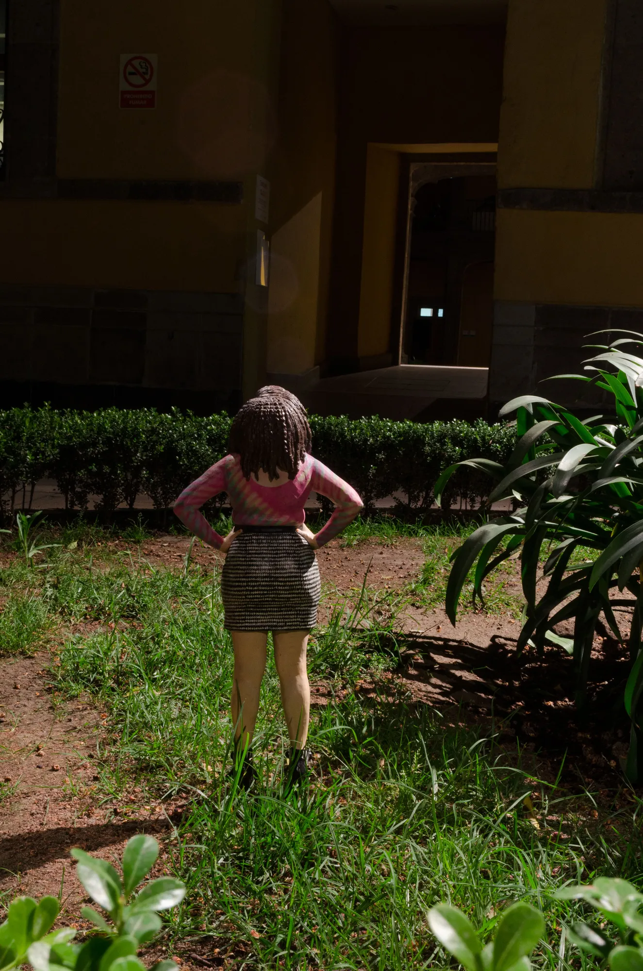 Tomoaki Suzuki, SHCP (2016)