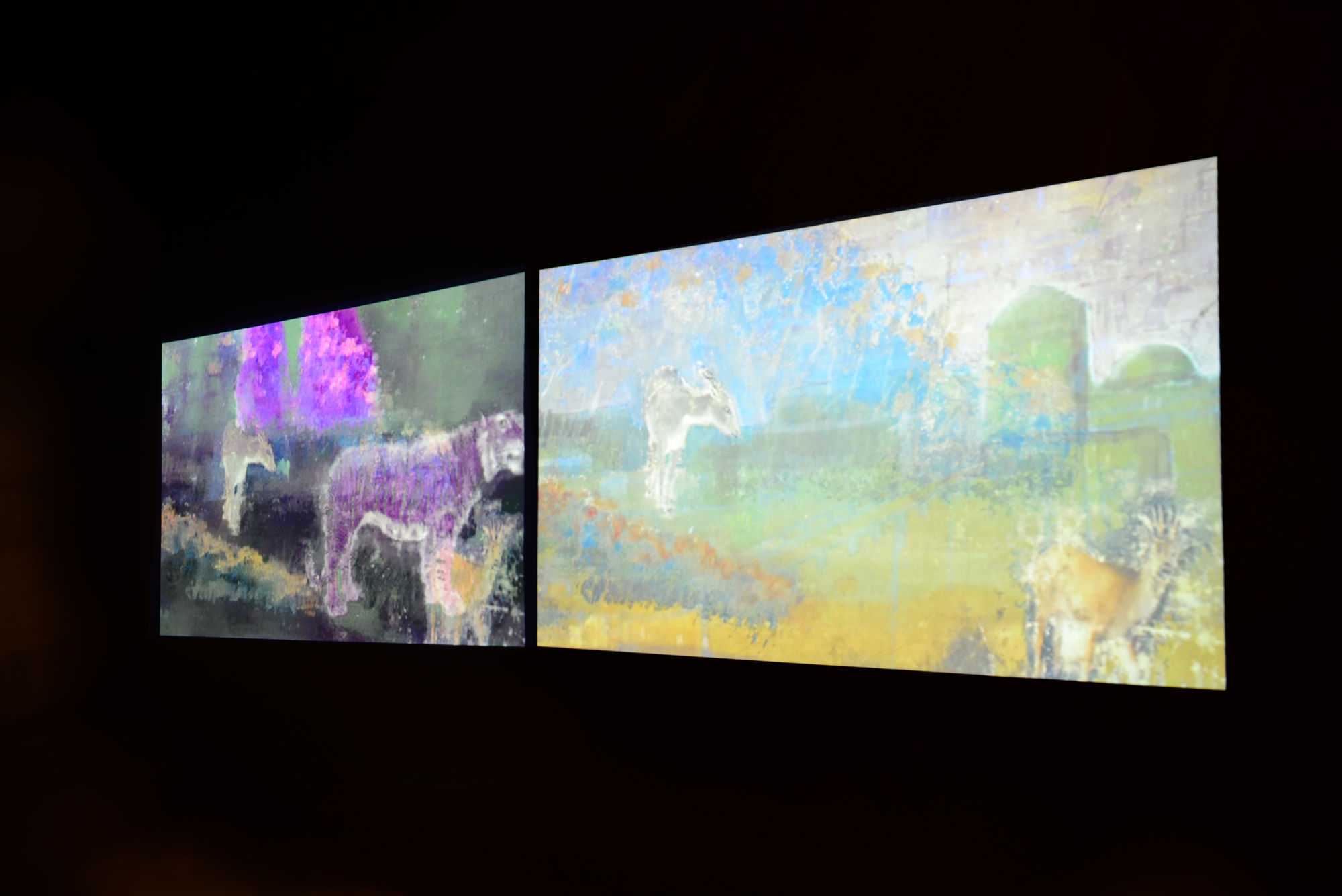 Nacimiento, miradas en el tiempo (2014)