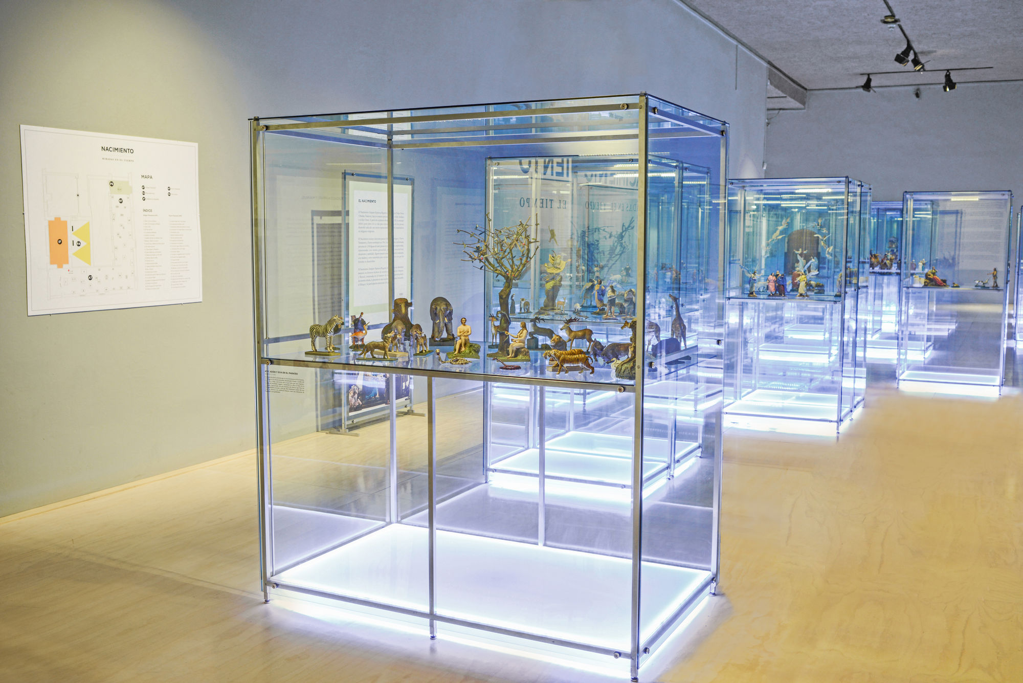 Nacimiento, miradas en el tiempo (2014)