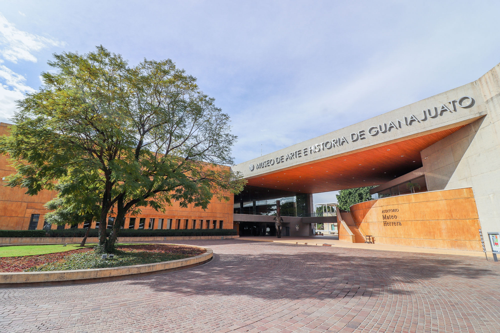 Nacimiento, miradas en el tiempo (2019)