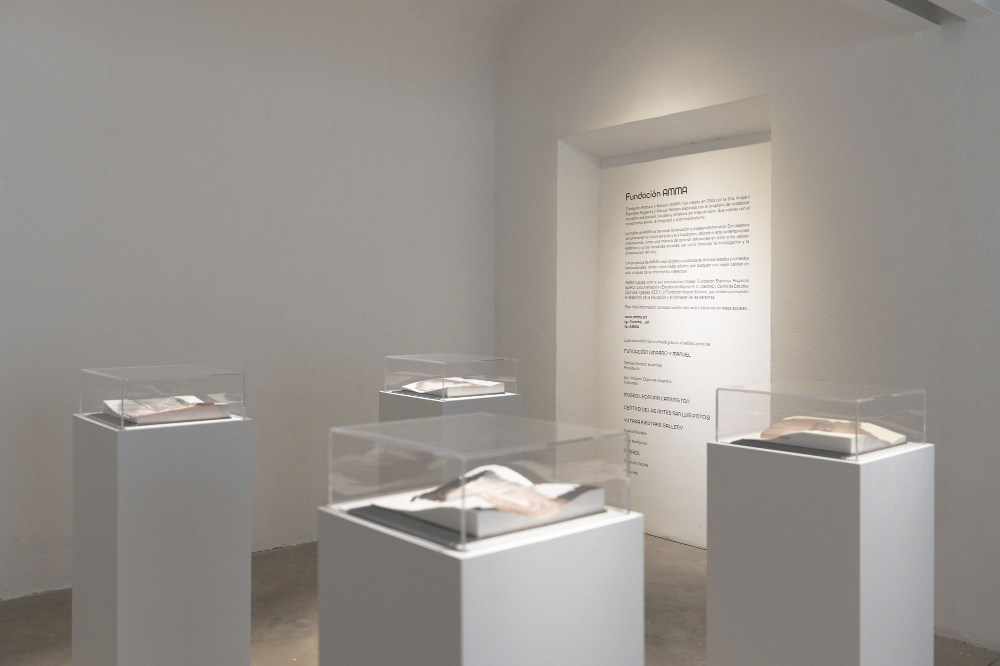 Nerhol: Beyond the Way (2024)