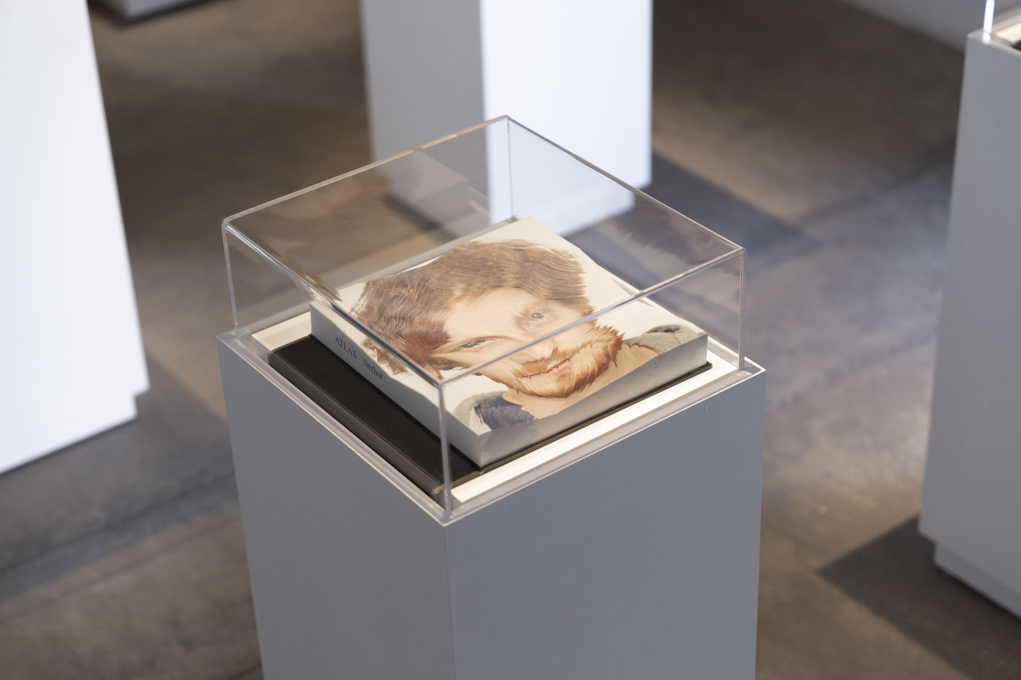 Nerhol: Beyond the Way (2024)