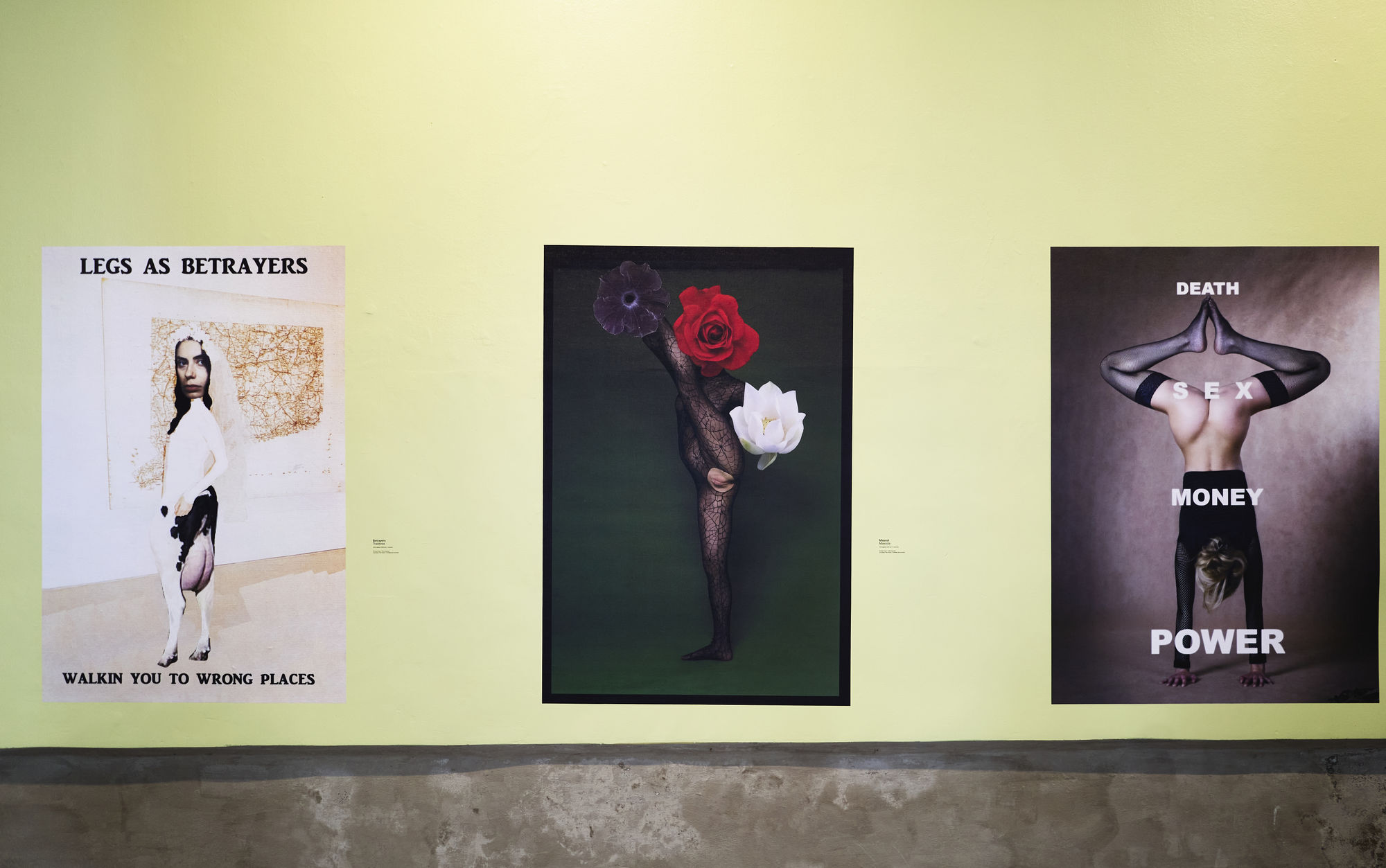 Penny Goring: Unloving Love / El desamor del amor (2026)