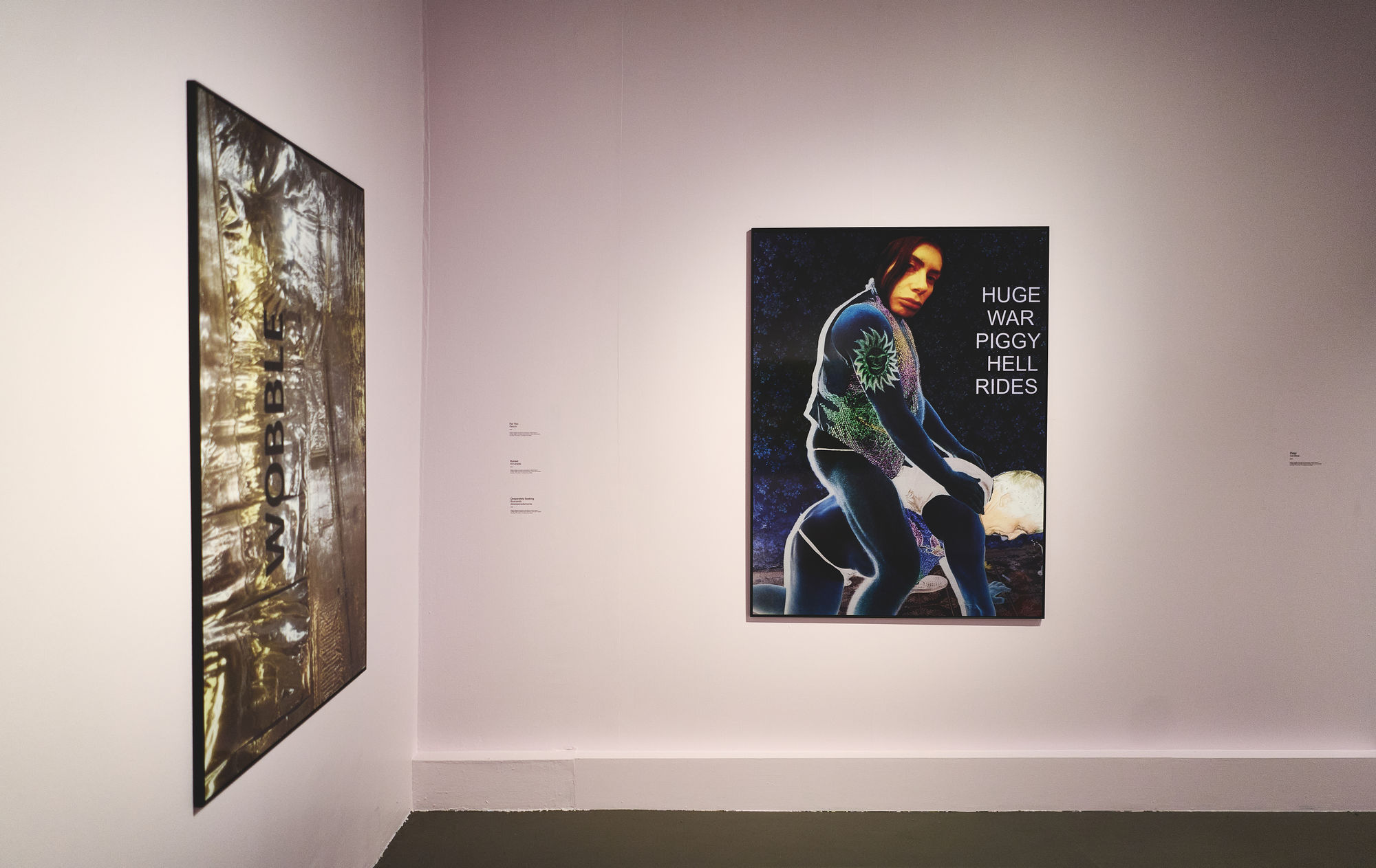 Penny Goring: Unloving Love / El desamor del amor (2026)