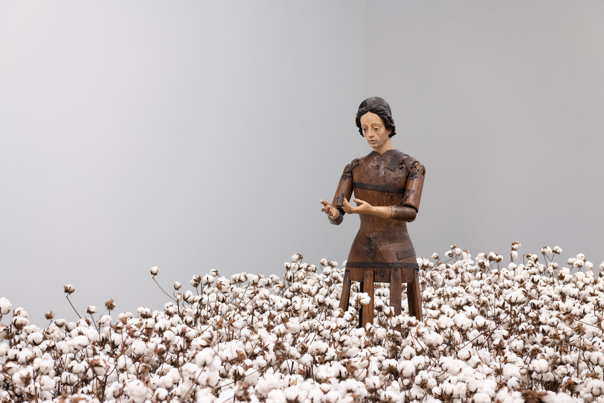 Texto [Text], 2020-2023 imagem de roca do séc. XVII, ramos de algodão colhidos no inverno de 2022 e aço inox [17th century religious image, cotton branches collected during the 2022 winter and stainless steel] 170 x 700 x 300 cm [66 7/8 x 275 5/8 x 118 1/8 in] foto [photo]: Edouard Fraipont