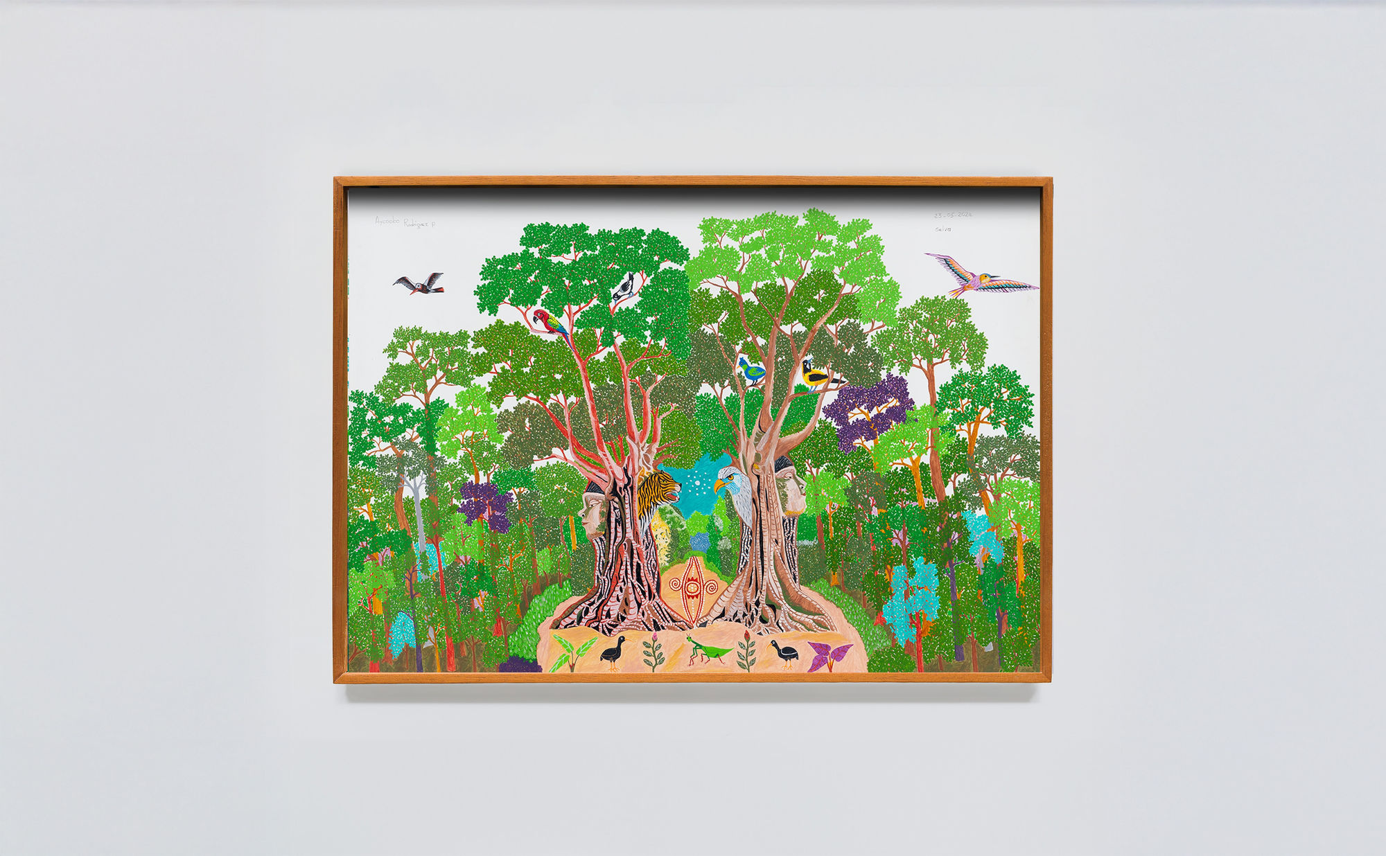 ABEL RODRÍGUEZ + AYCOOBO