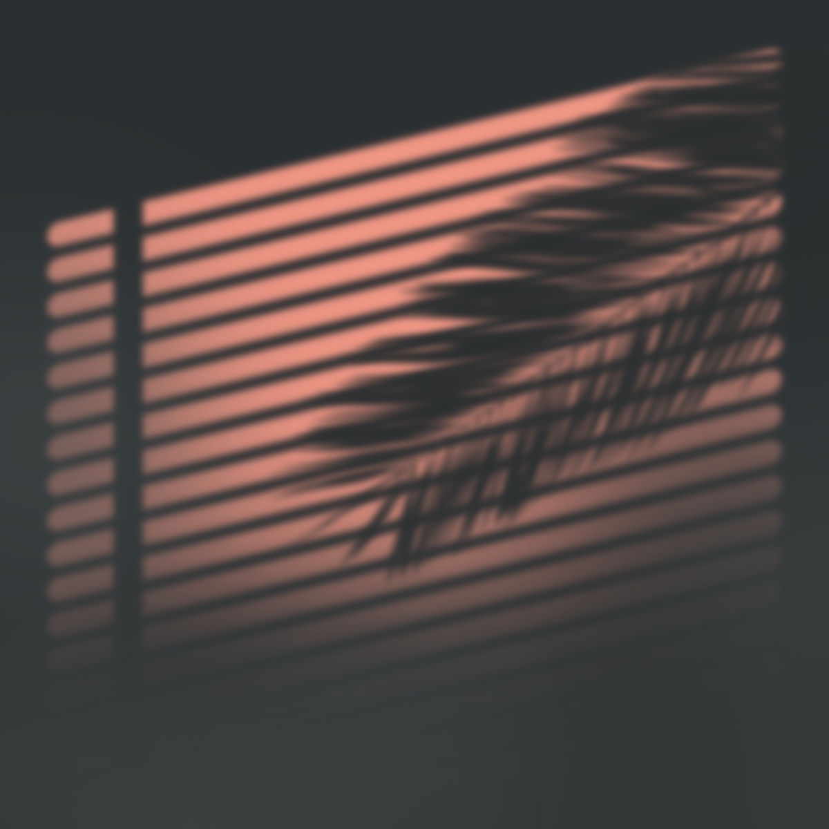 Marchetti Blink à Lausanne pour Infinite Summer, un voyage lausannois en traversant les années 50