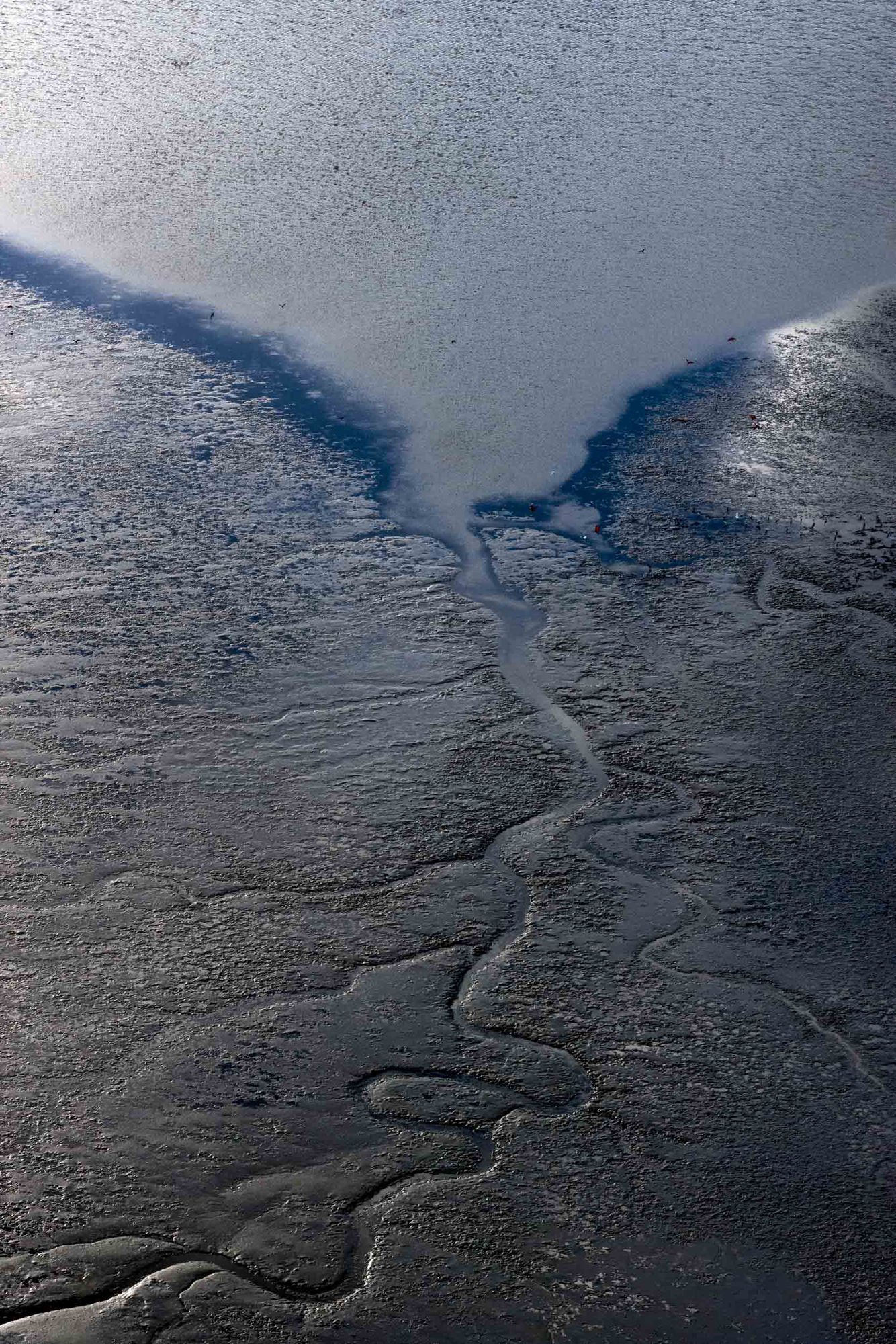 Uiler Costa-Santos, Sem título, Bahia, 2020
